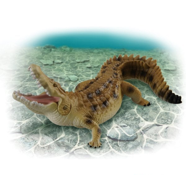 Takara Tomy - Ania AS-32 โมเดลจระเข้น้ำเค็ม Saltwater Crocodile