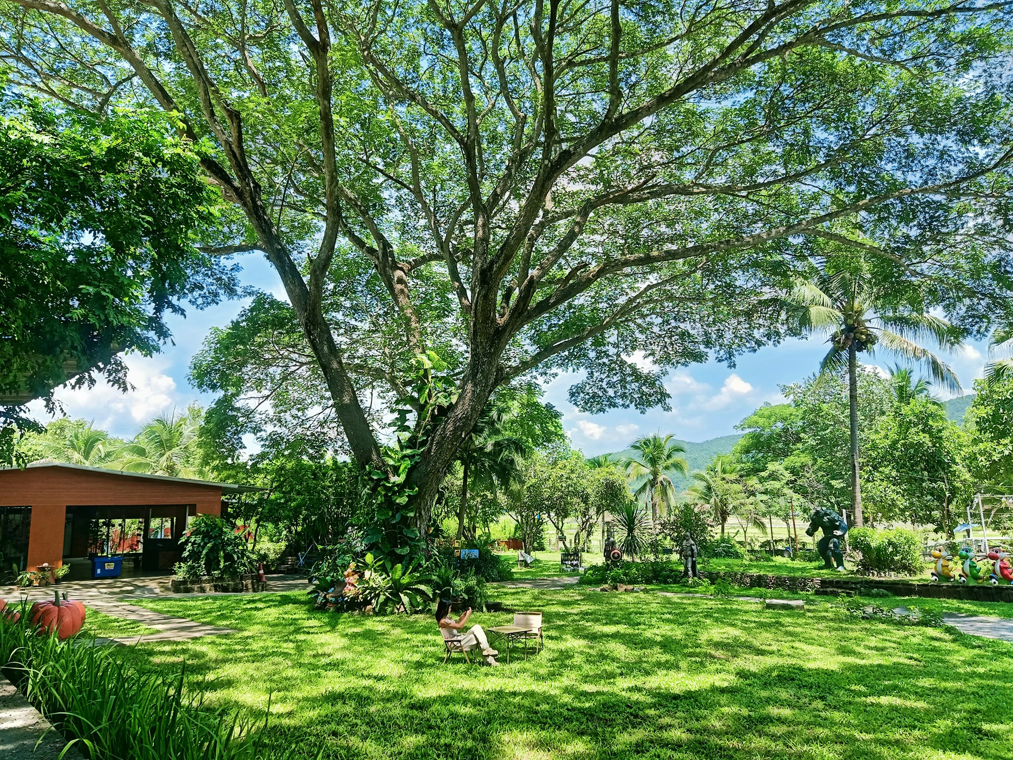 ขายรีสอร์ทพร้อมสวนอาหาร ใน จ.ลำพูน บรรยากาศท่ามกลางธรรมชาติ วิวเขาและทุ่งนา