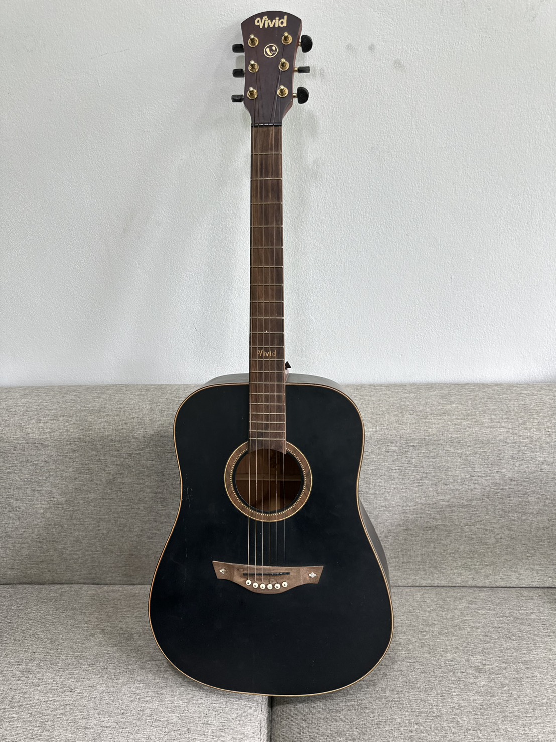 กีตาร์โปร่ง Vivid รุ่น V-22/BKM