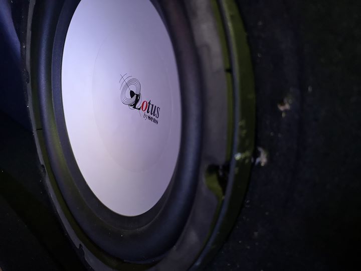 SEAS SW250 'Lotus' 10" 4Ohm. Car Subwoofer