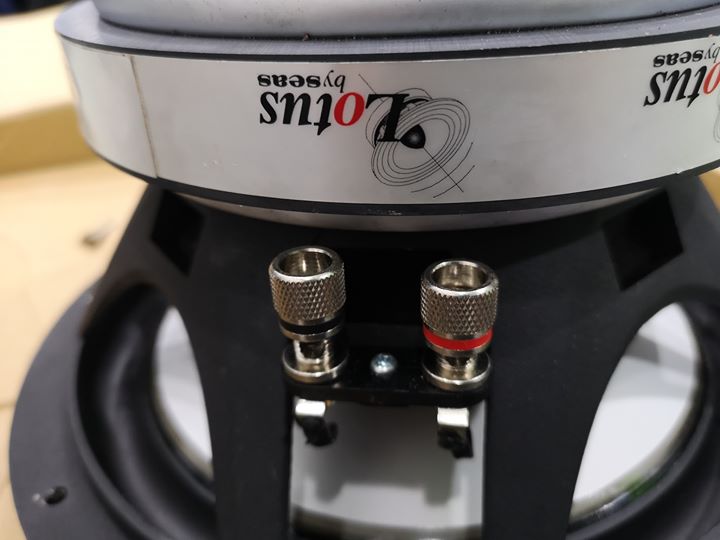 SEAS SW250 'Lotus' 10" 4Ohm. Car Subwoofer