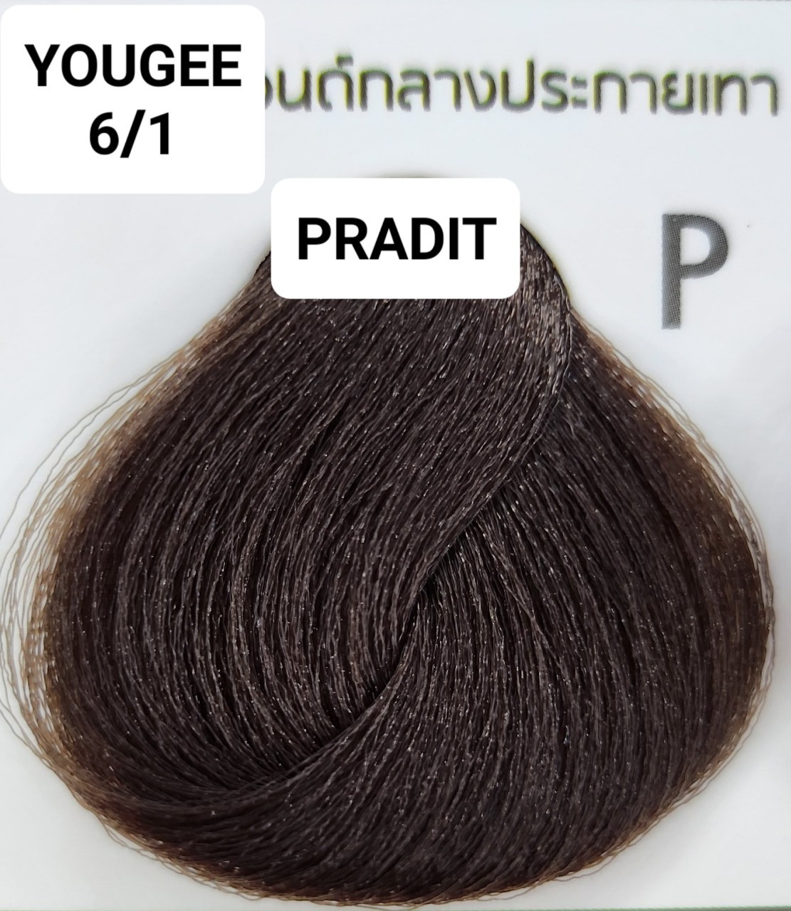 ยูจี ไฟโทน แฮร์ คัลเลอร์ ครีม 6.1 สีบลอนด์กลางประกายเทา 200 กรัม