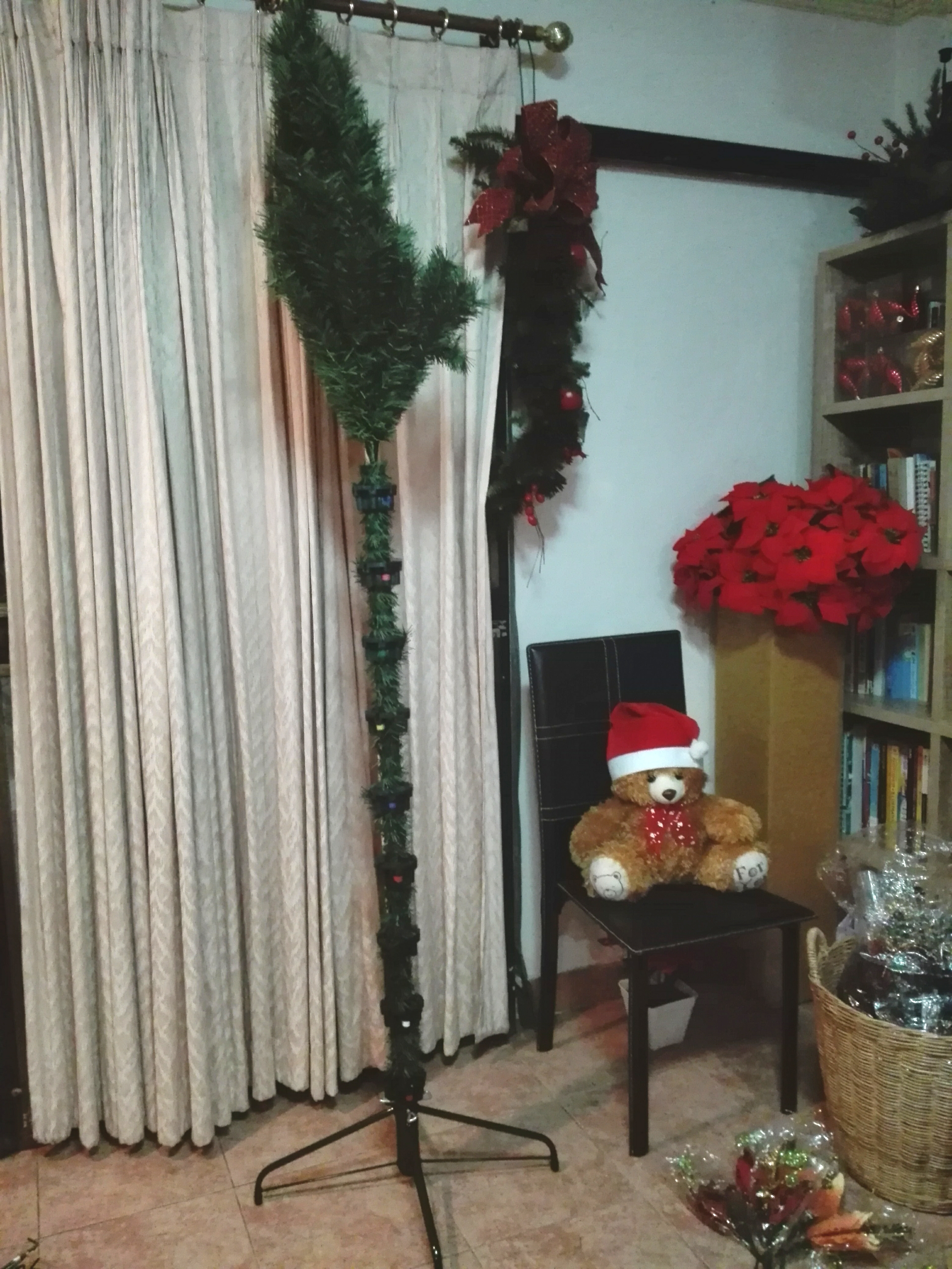 ต้นคริสต์มาส พุ่มหนามาก คลุมยาวถึงพื้น 7 Ft (210 cm.) คุณภาพส่งออก