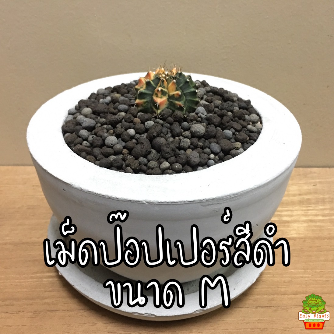 ถุงละ 1 ลิตร เม็ดปอปเปอร์สีอิฐ และ สีดำ ดินเผาโรยหน้า Clay Popper