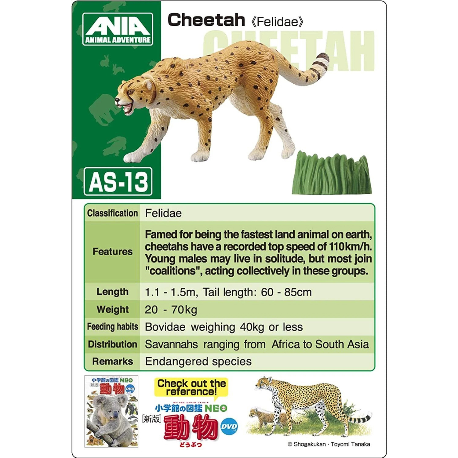 Takara Tomy - Ania AS-13 โมเดลเสือชีตาห์ Cheetah (Wild Ver.)