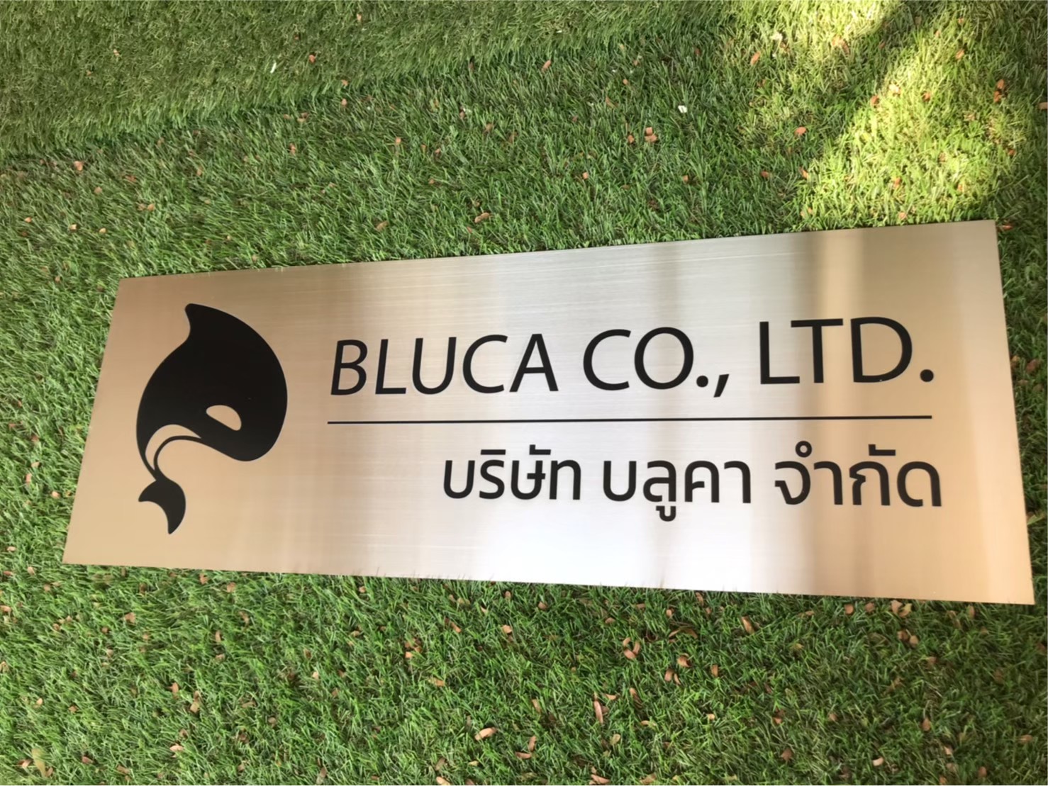 ป้ายสกีน