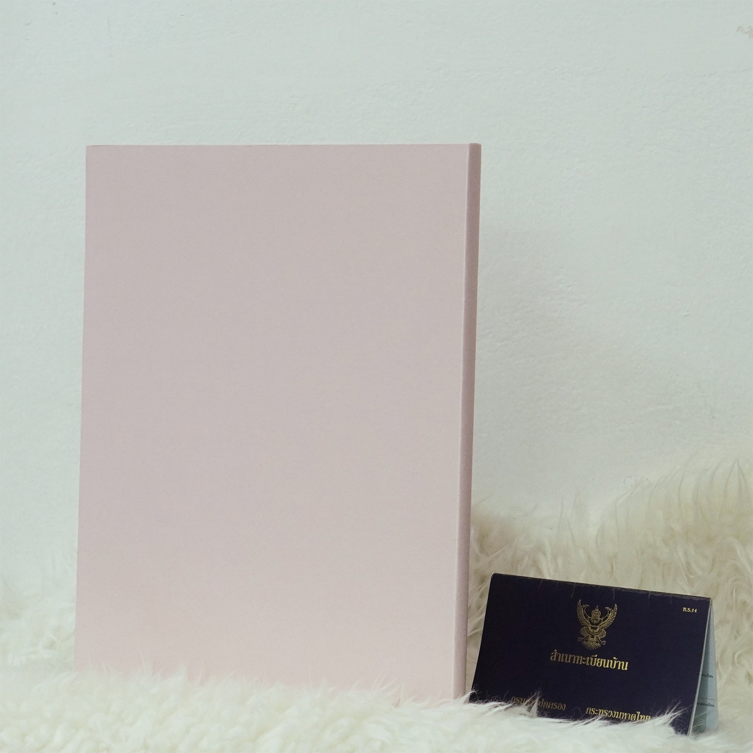 แฟ้มโฉนดที่ดิน สั่งทำใส่ข้อความ ลาย Minimal - Nude (ใส่โฉนด 1 ช่อง ใส่ทะเบียนบ้าน 1 ช่อง)