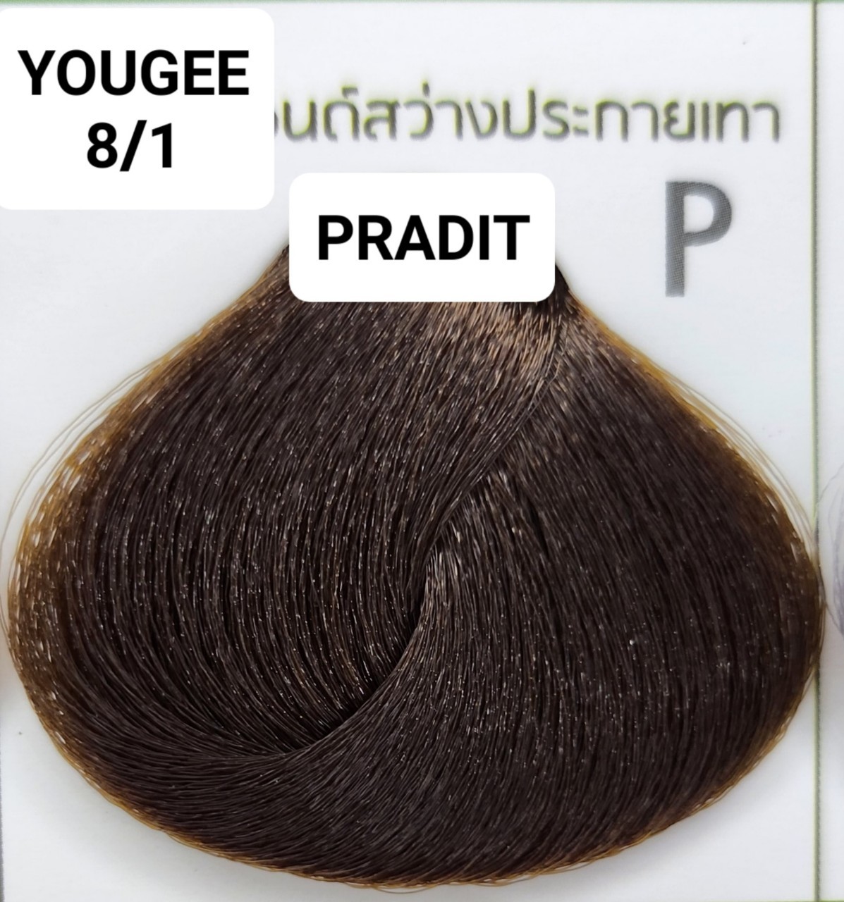 ยูจี ไฟโทน แฮร์ คัลเลอร์ ครีม 8.1 สีบลอนด์สว่างประกายเทา 200 กรัม