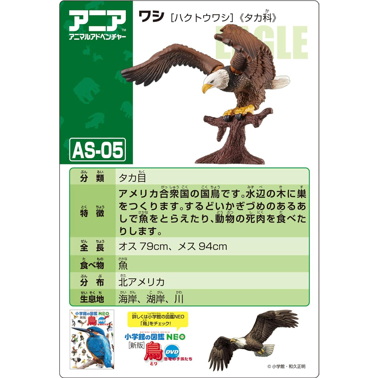Takara Tomy - Ania AS-05 โมเดลนกอินทรี Eagle (Bald Eagle)