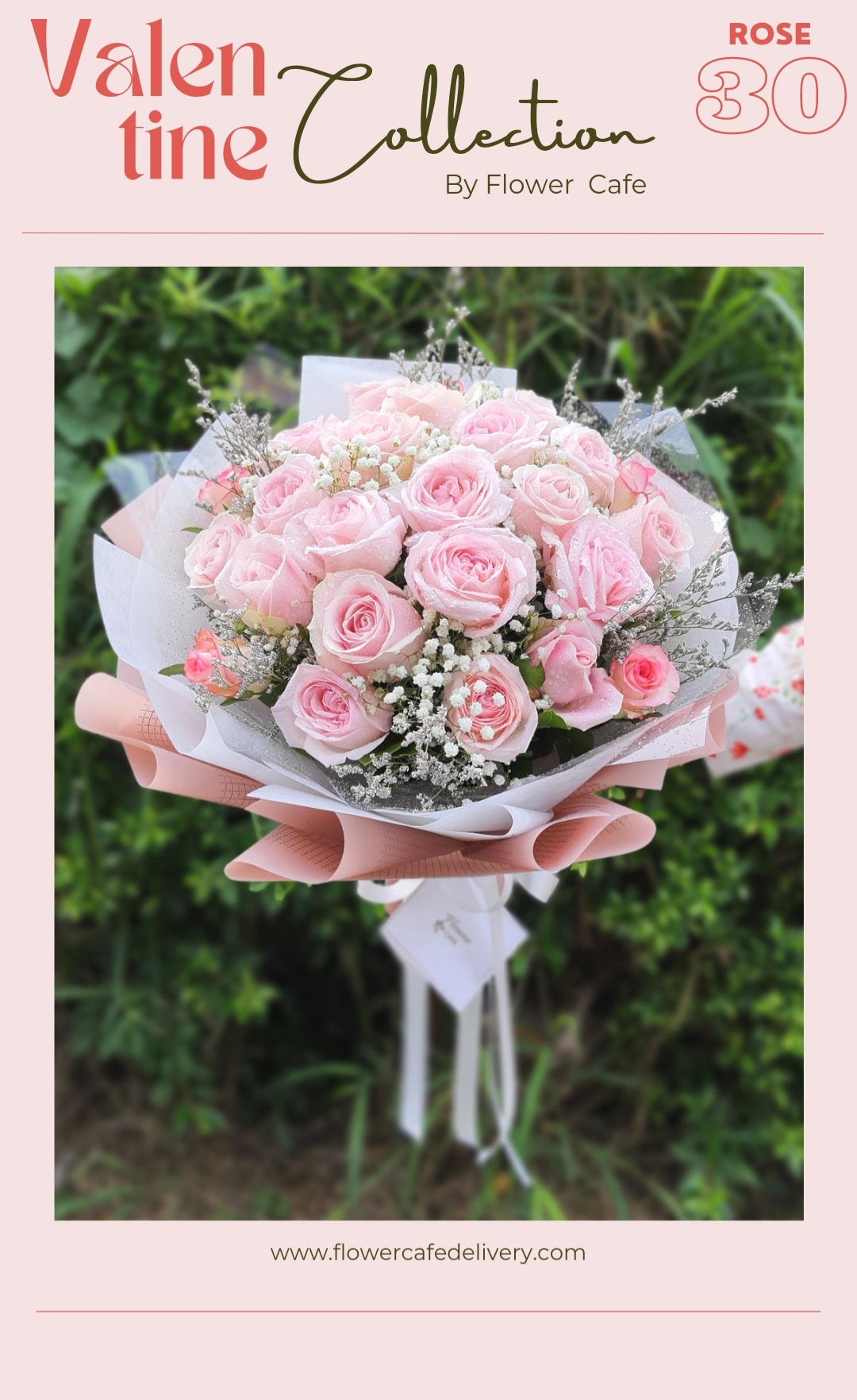 Rose 30
