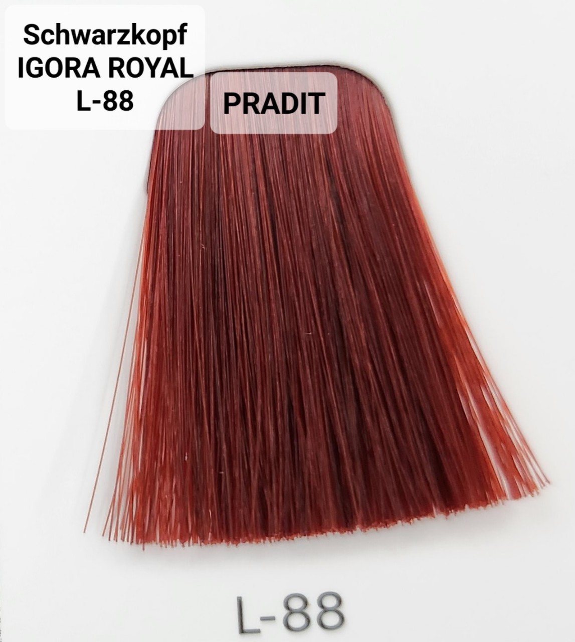 Schwarzkopf Igora Royal ครีมย้อมผม อีโกร่า รอยัล เบอร์ L-88 (60ml) 80 กรัม