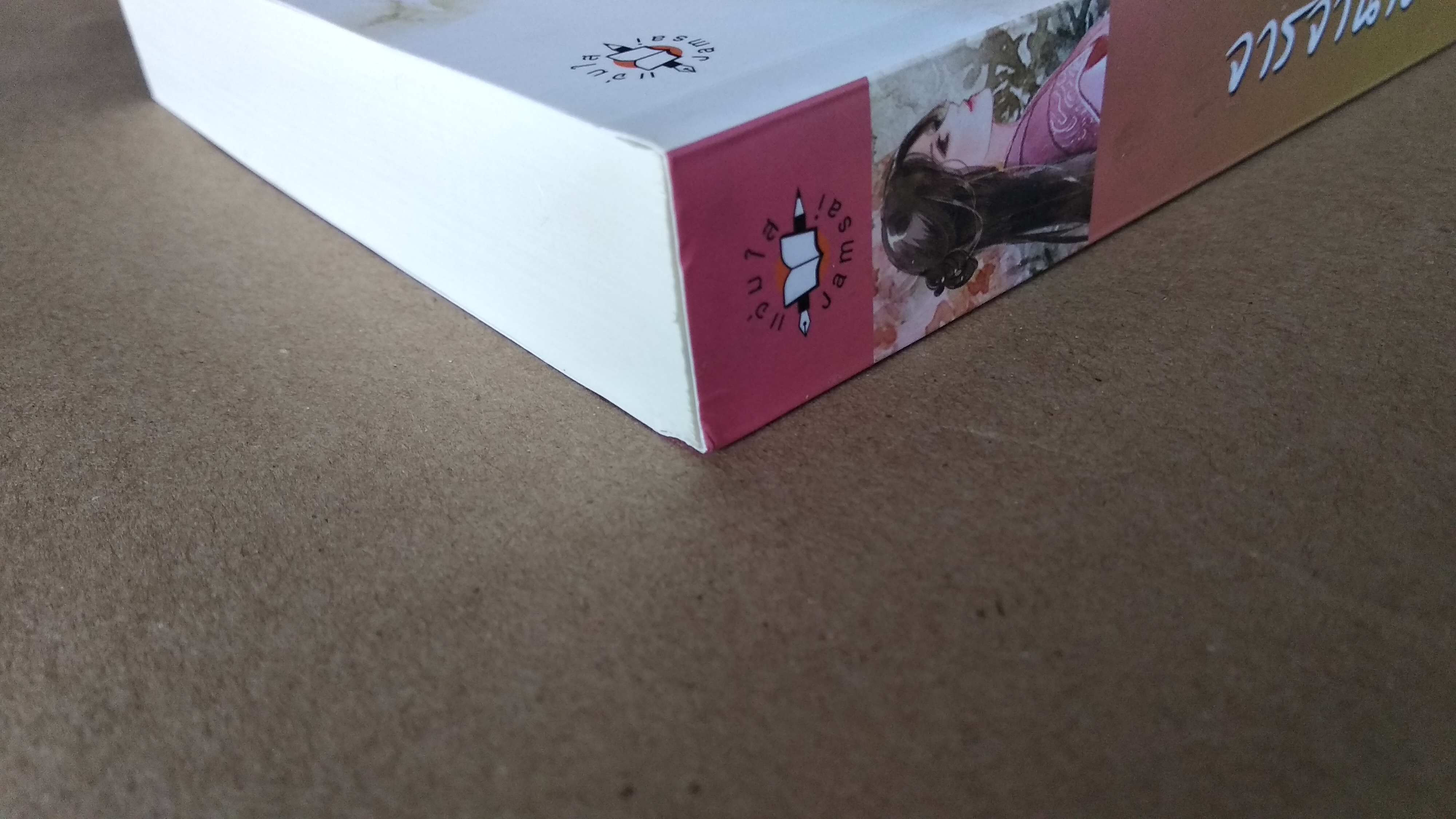 จารจำนาง โดย 于晴 อวี๋ฉิง นิยายแปลจีน แจ่มใส มากกว่ารัก มือสอง