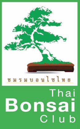 http://bonsai.pantown.com/
