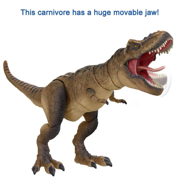 Mattel Jurassic World Hammond Collection Tyrannosaurus Rex (HFG66) แมทเทล จูราสสิค เวิลด์ ของเล่นแอ็กชั่นฟิกเกอร์ไดโนเสาร์ ไทแรนโนซอรัส เร็กซ์ (ที. เร็กซ์)
