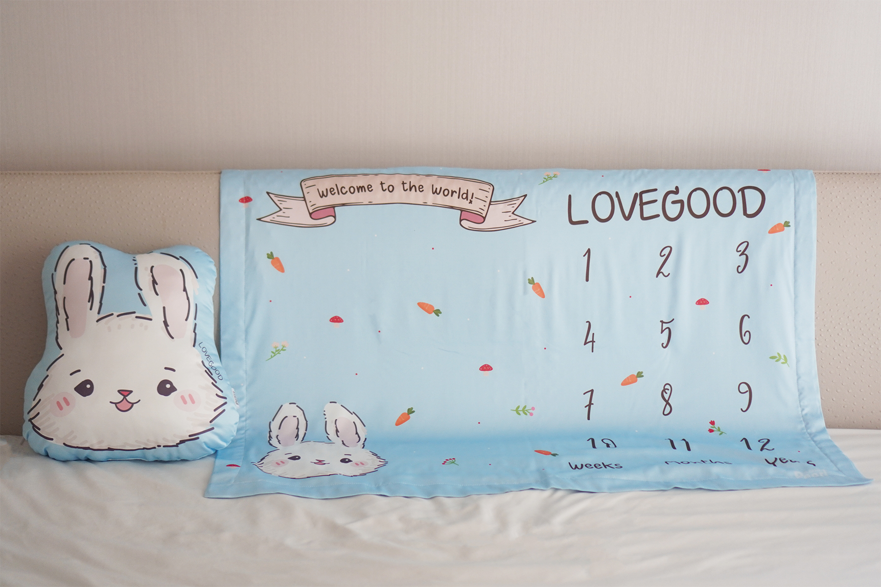 ชุดของขวัญเด็ก ผ้าห่ม Milestone ขนาด 75x100cm + หมอนอิง ลาย Rabbit with Carrot - Blue