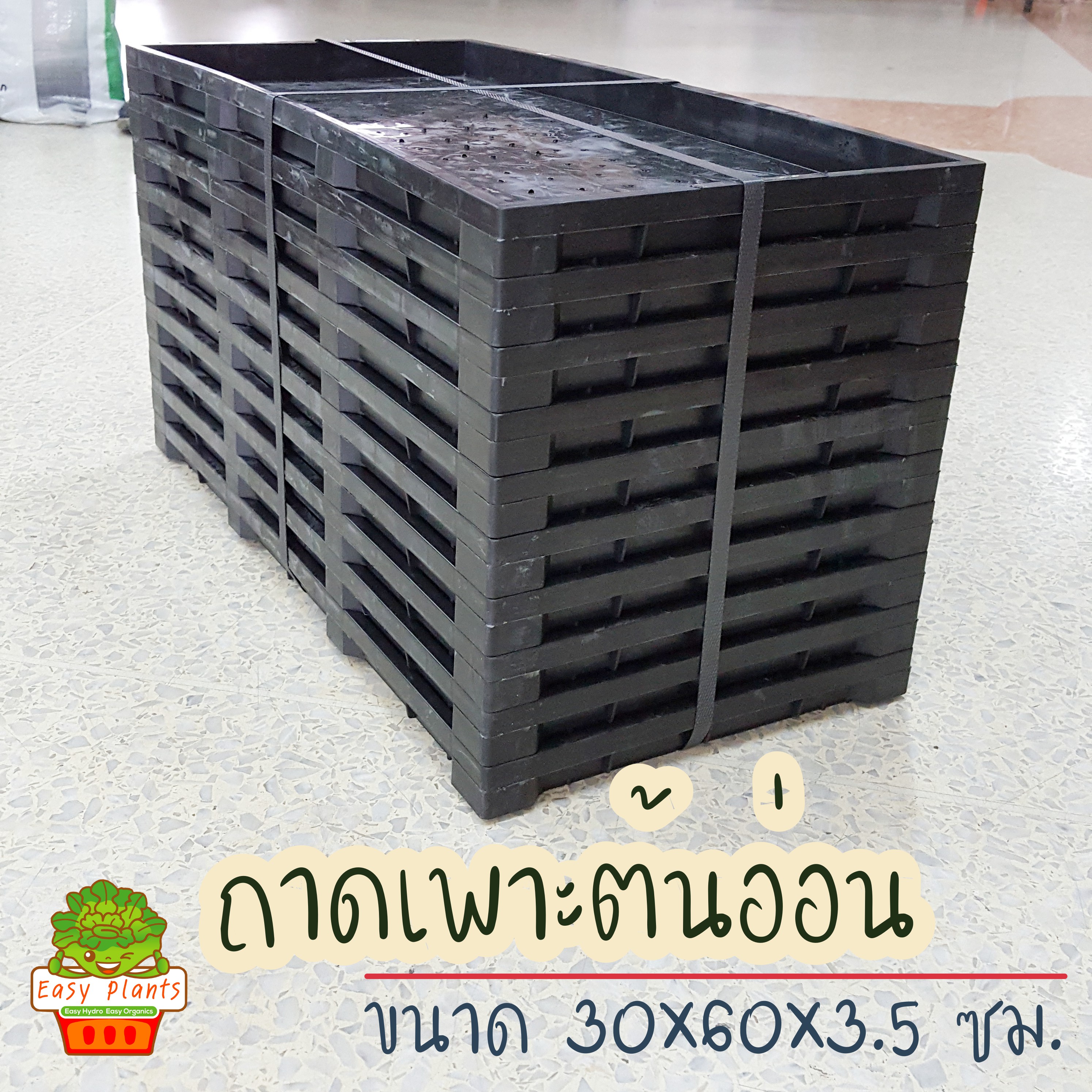 ถาดเพาะต้นอ่อนทานตะวัน จำนวน 10 ชิ้น (1 มัด)