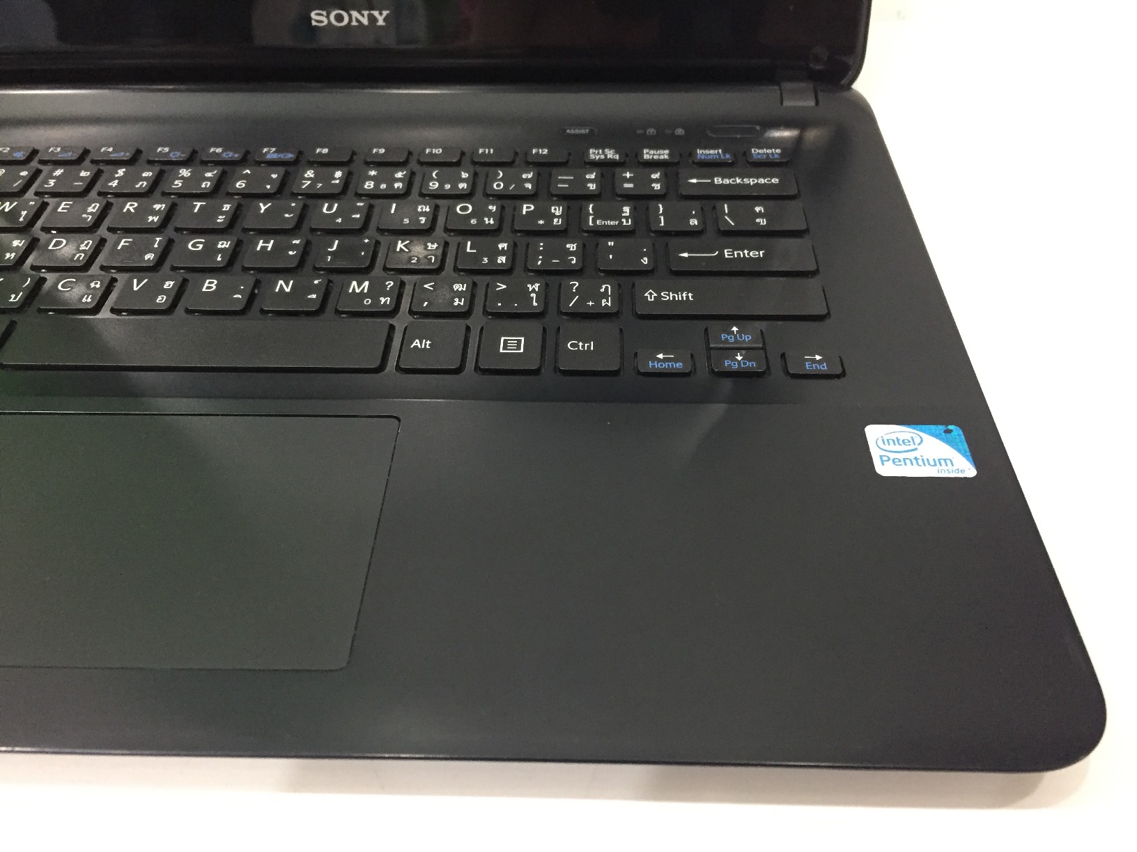 Sony VAIO SVF142C1WW