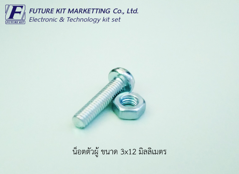 น็อต ขนาด 3x12 มิลลิเมตร