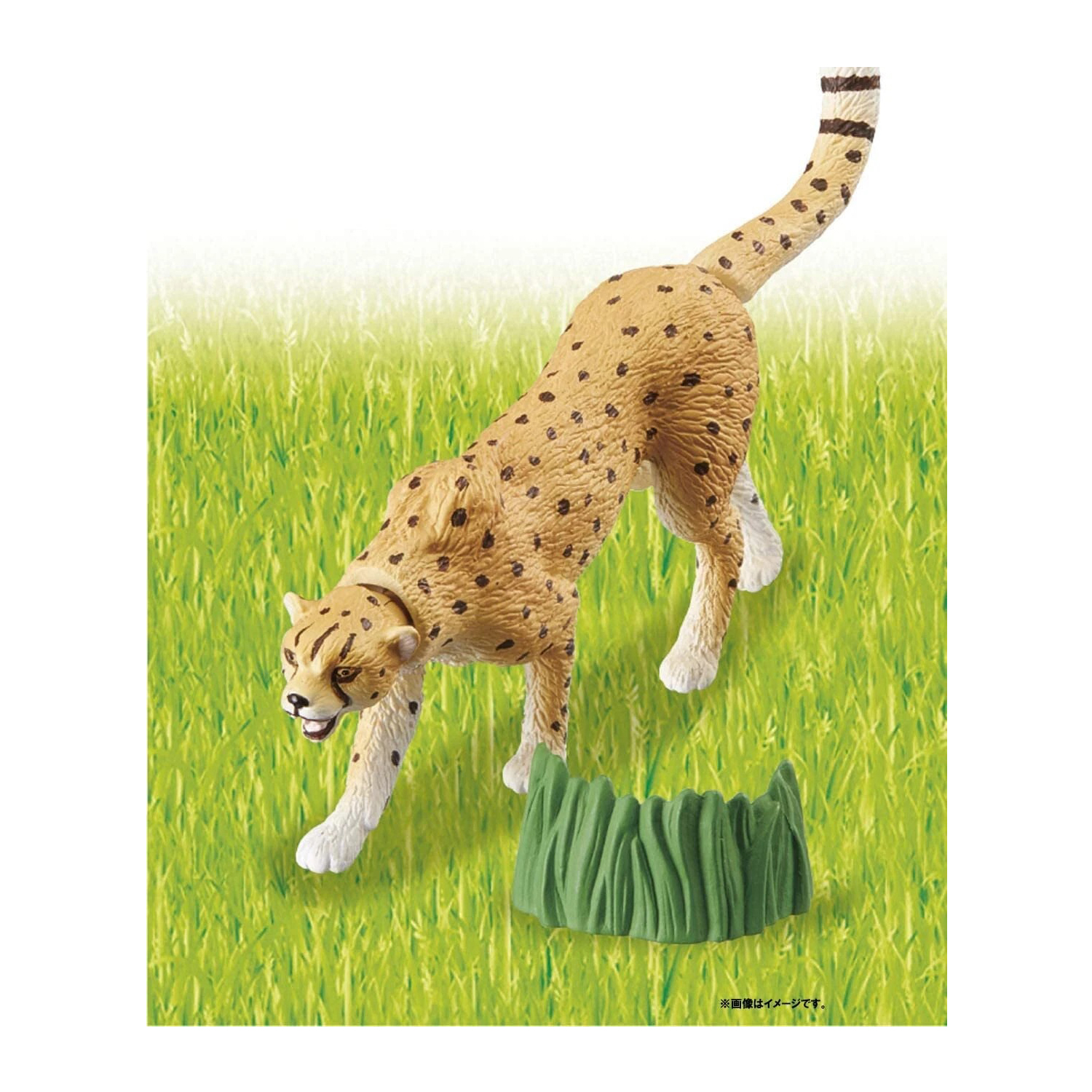 Takara Tomy - Ania AS-13 โมเดลเสือชีตาห์ Cheetah (Wild Ver.)