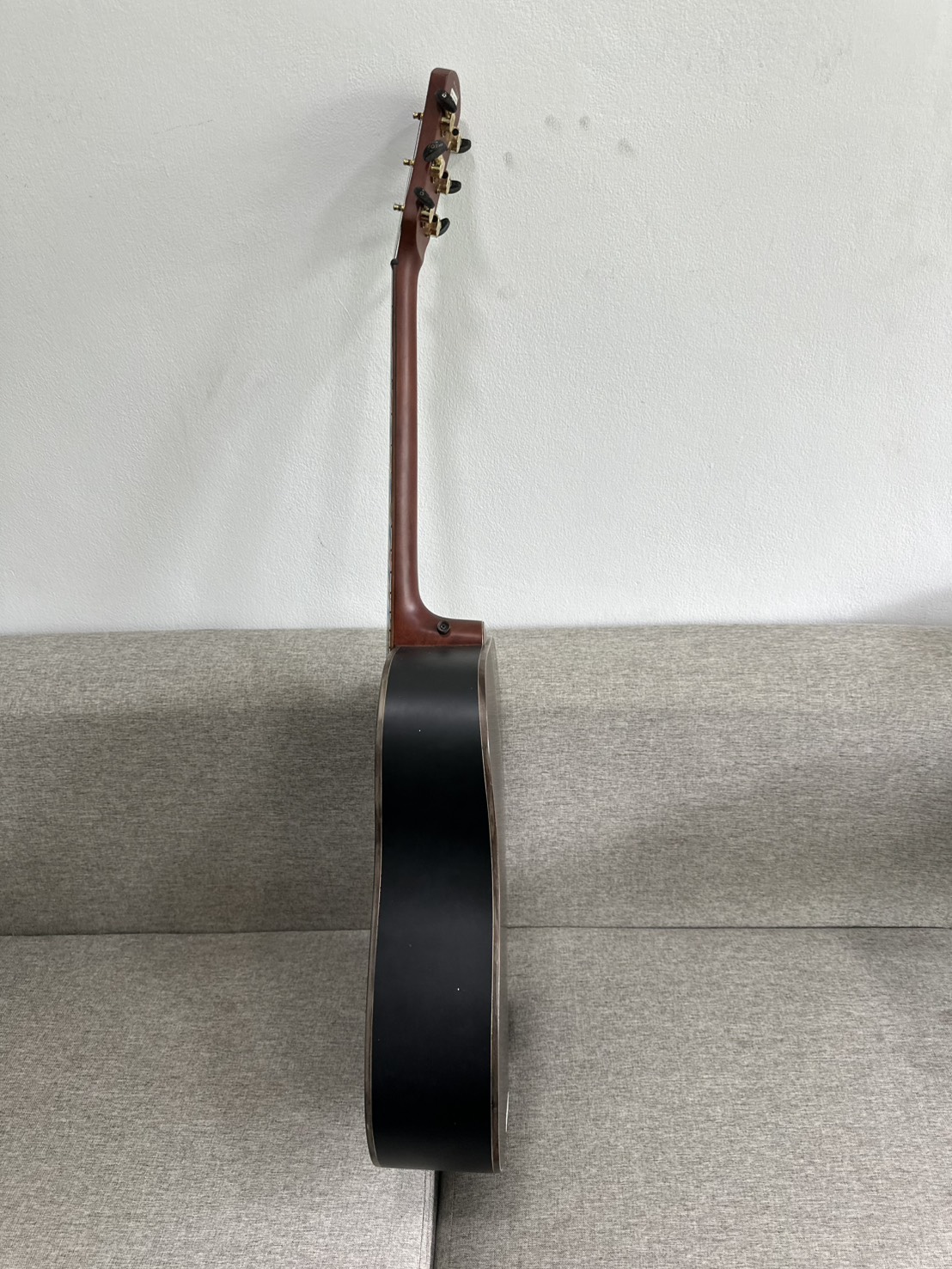 กีตาร์โปร่ง Vivid รุ่น V-22/BKM