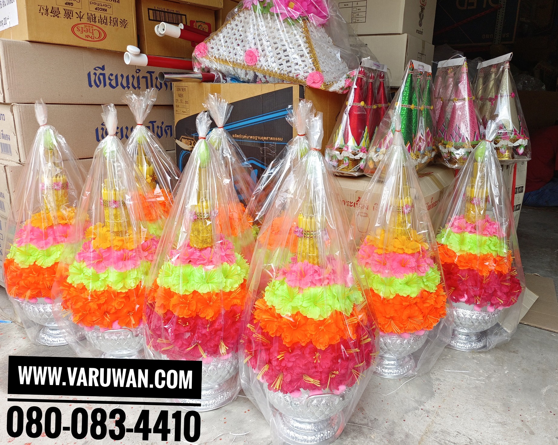 ต้นเทียนโถข้าวแบ่ง ดอกชบา