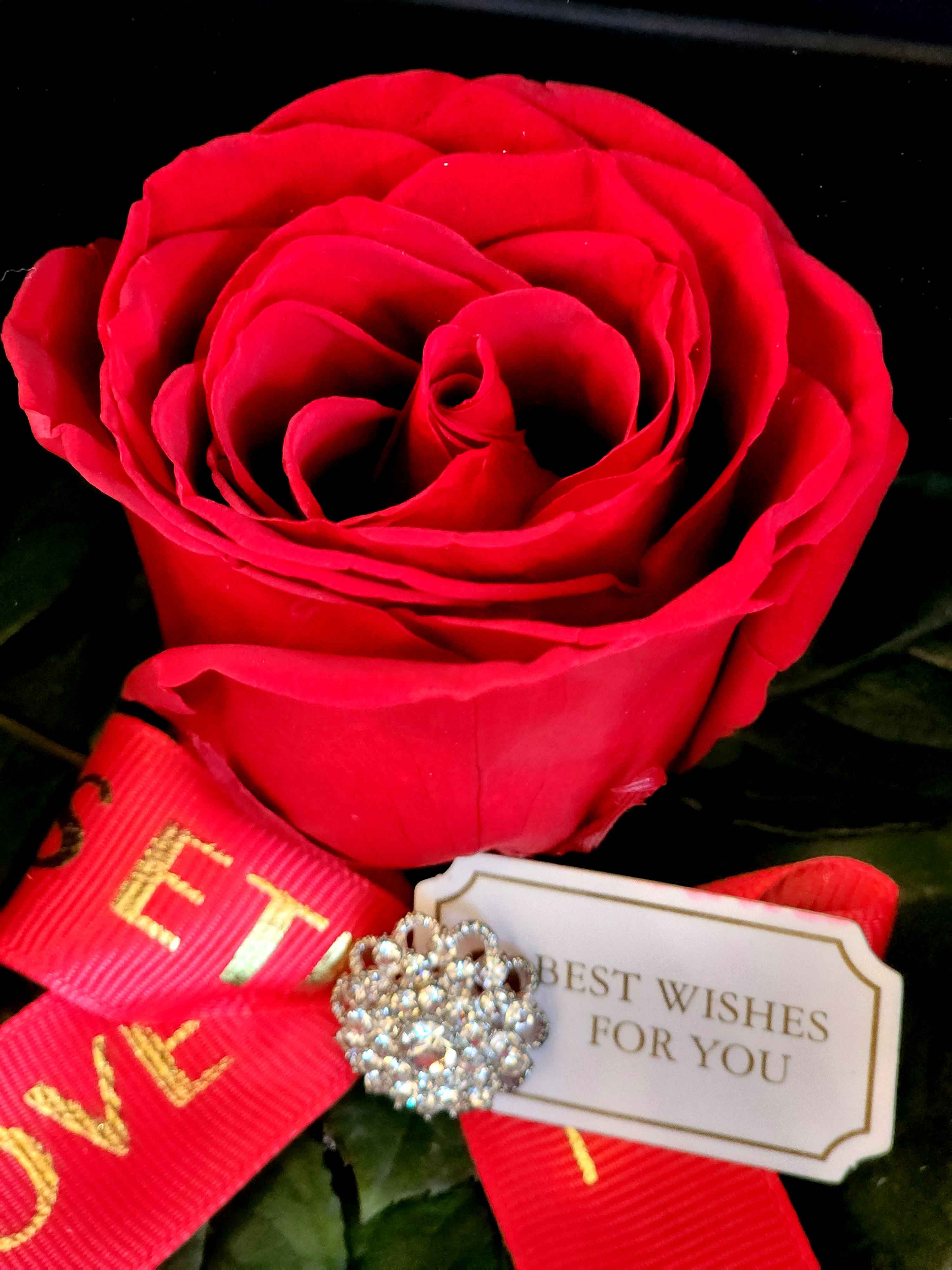 Preserved 1 กุหลาบอมตะ