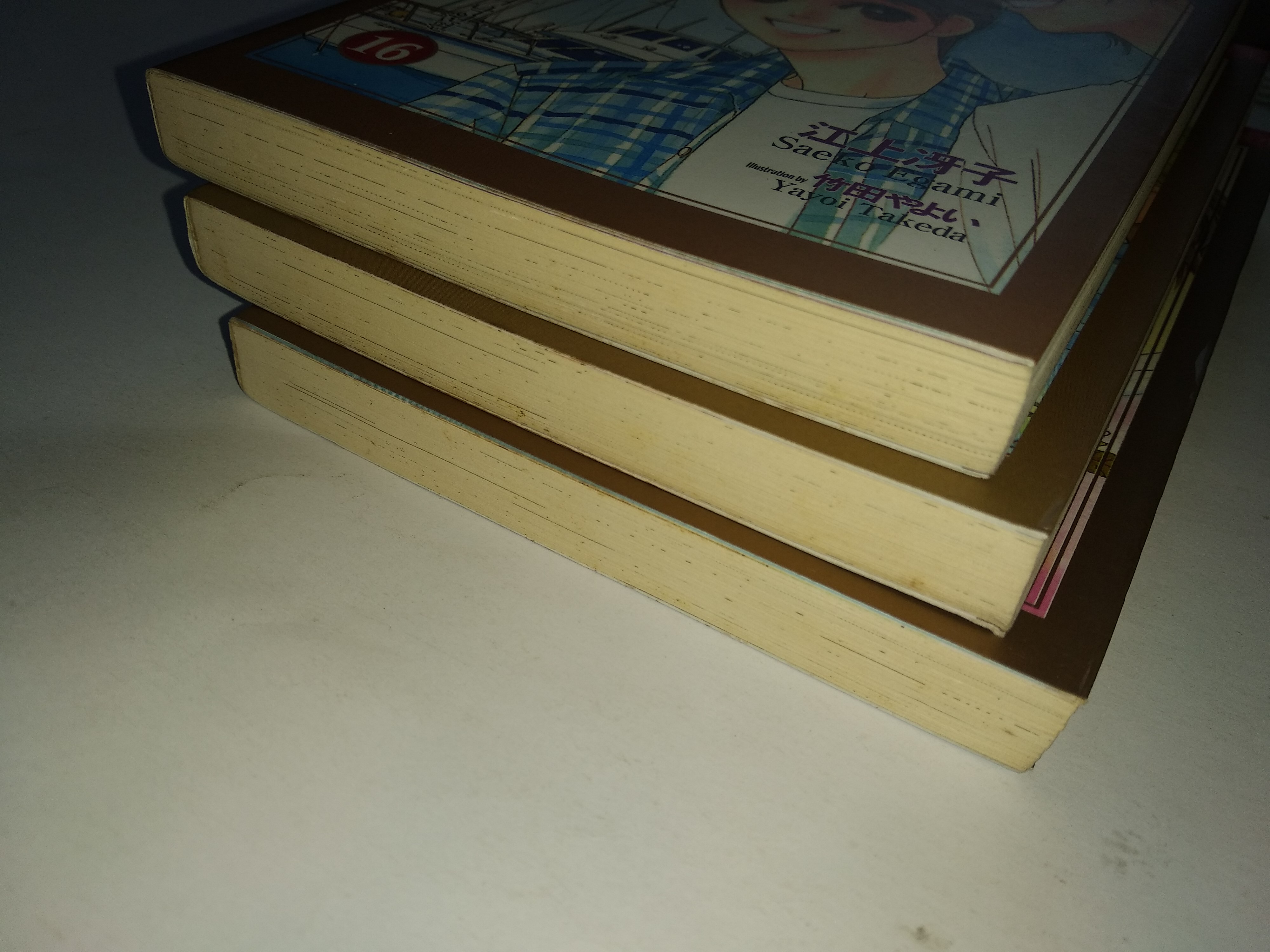 นิยายวายภาษาเกาหลี 에덴을 멀리 떠나서 - Saeko Egami 1-18 (มือสอง ขาดเล่ม 13)