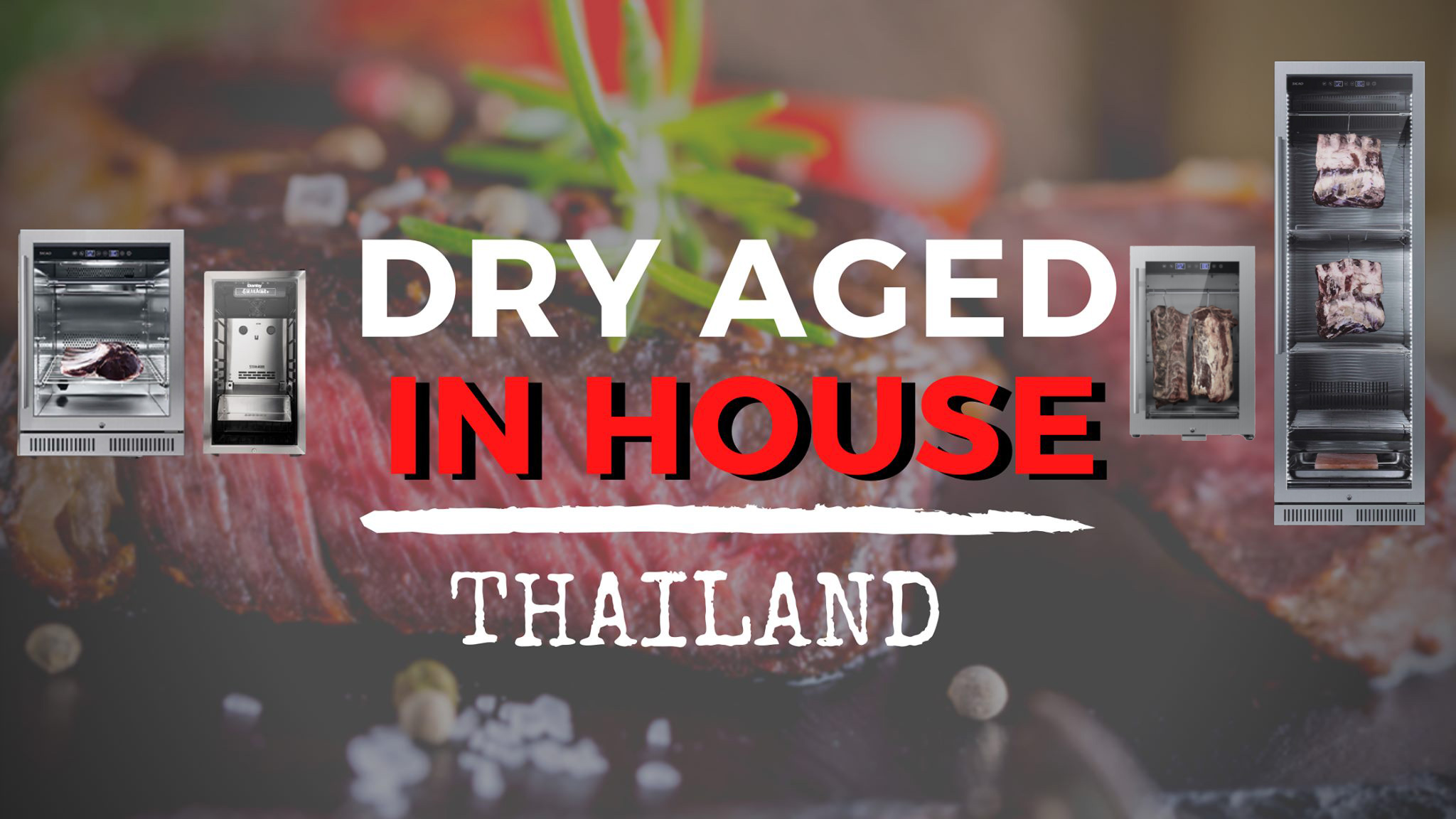 Dry Aged Thailand l ตู้บ่มเนื้อ Dry Aged In House l