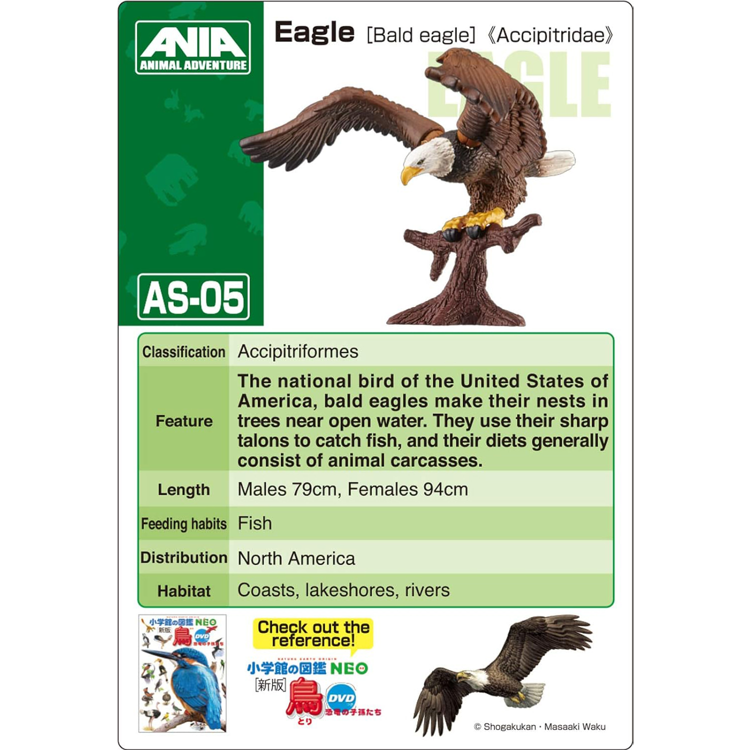 Takara Tomy - Ania AS-05 โมเดลนกอินทรี Eagle (Bald Eagle)
