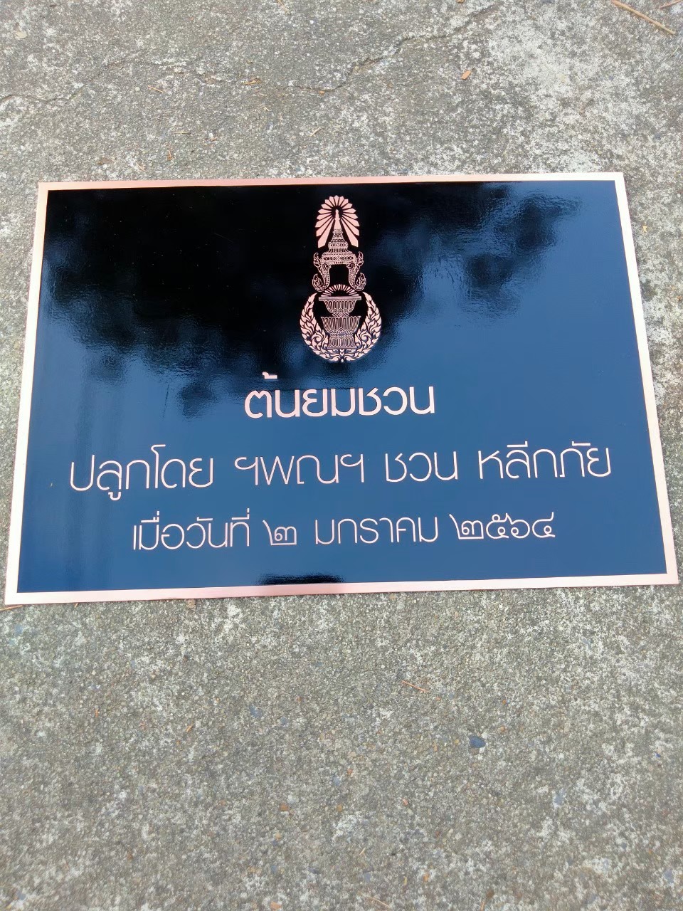 งานกัดกรด