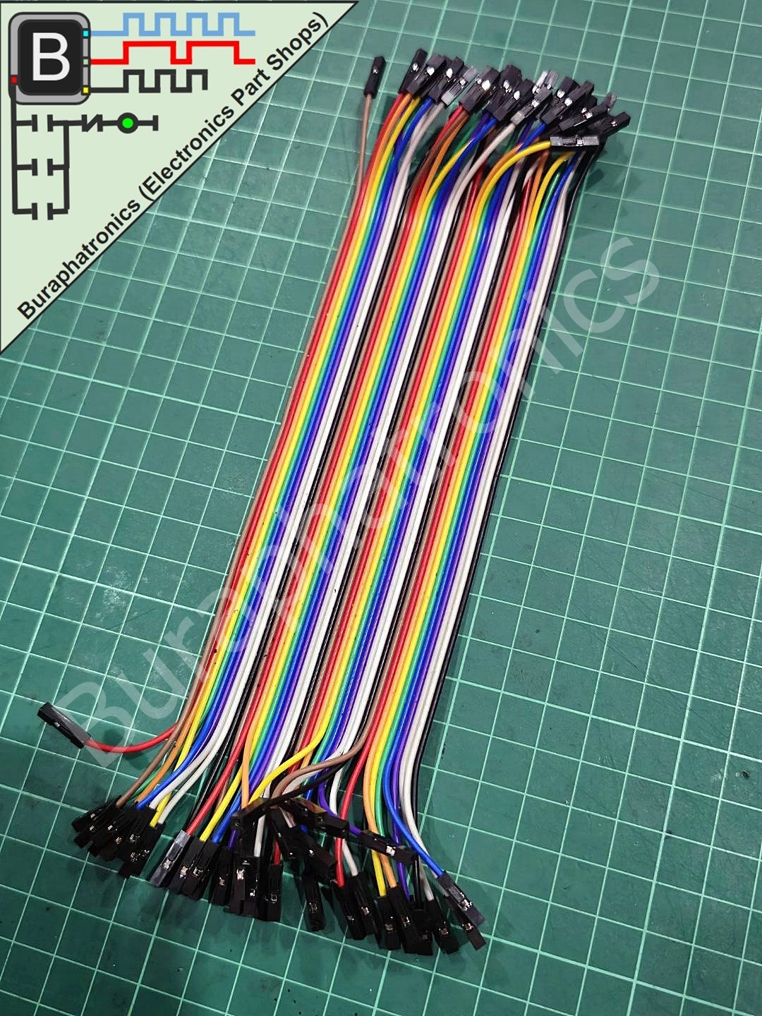 40Pin Female - Female 20 cm ( สายไฟ 40 เส้น ยาว 20 เซนติเมตร )