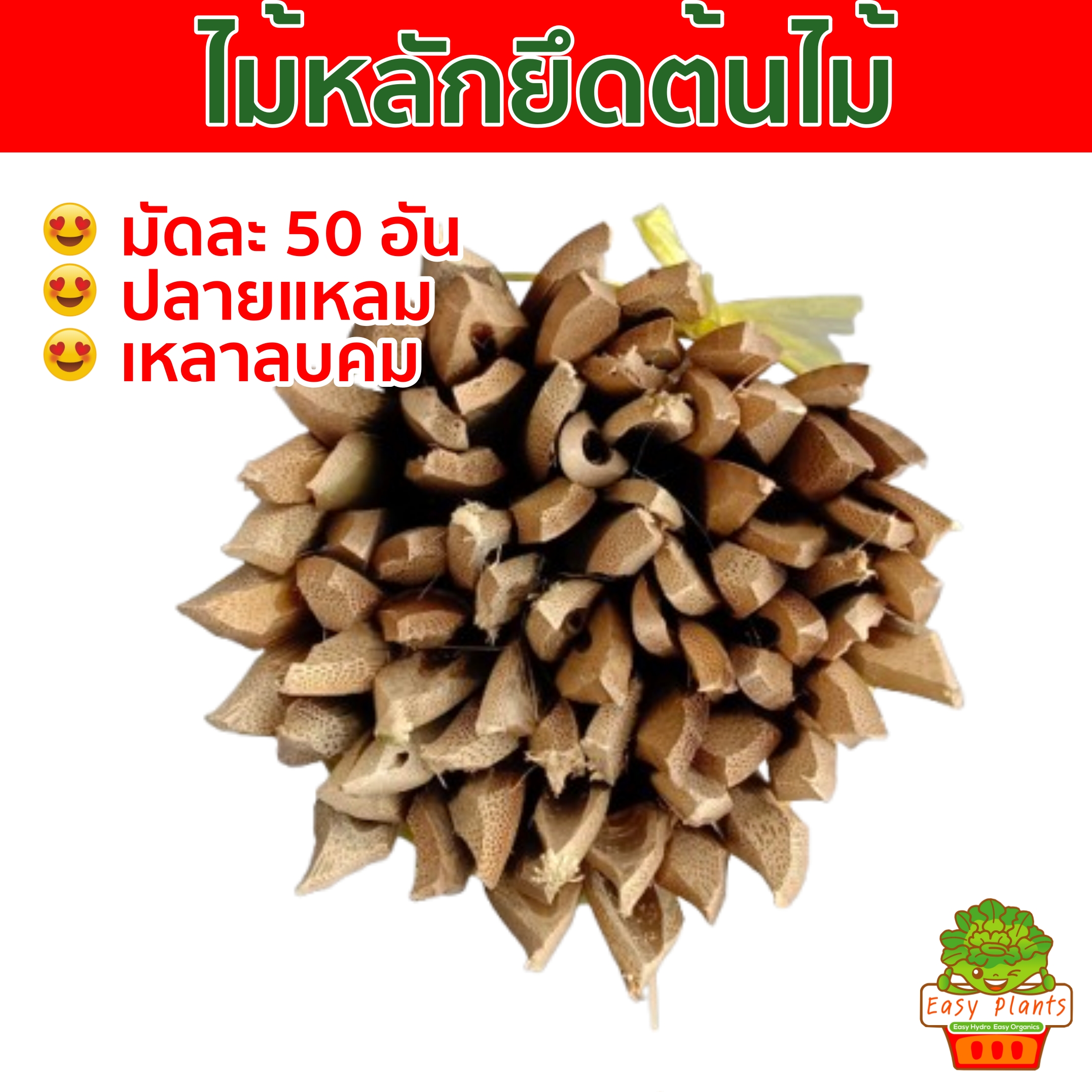 ไม้หลักยึดต้นไม้ ปลายแหลมยาว 100ซม,80ซม,60ซม.จำนวน50 อัน เหลาลบคมป้องกันลำต้นโยก ช่วยพยุงลำต้น