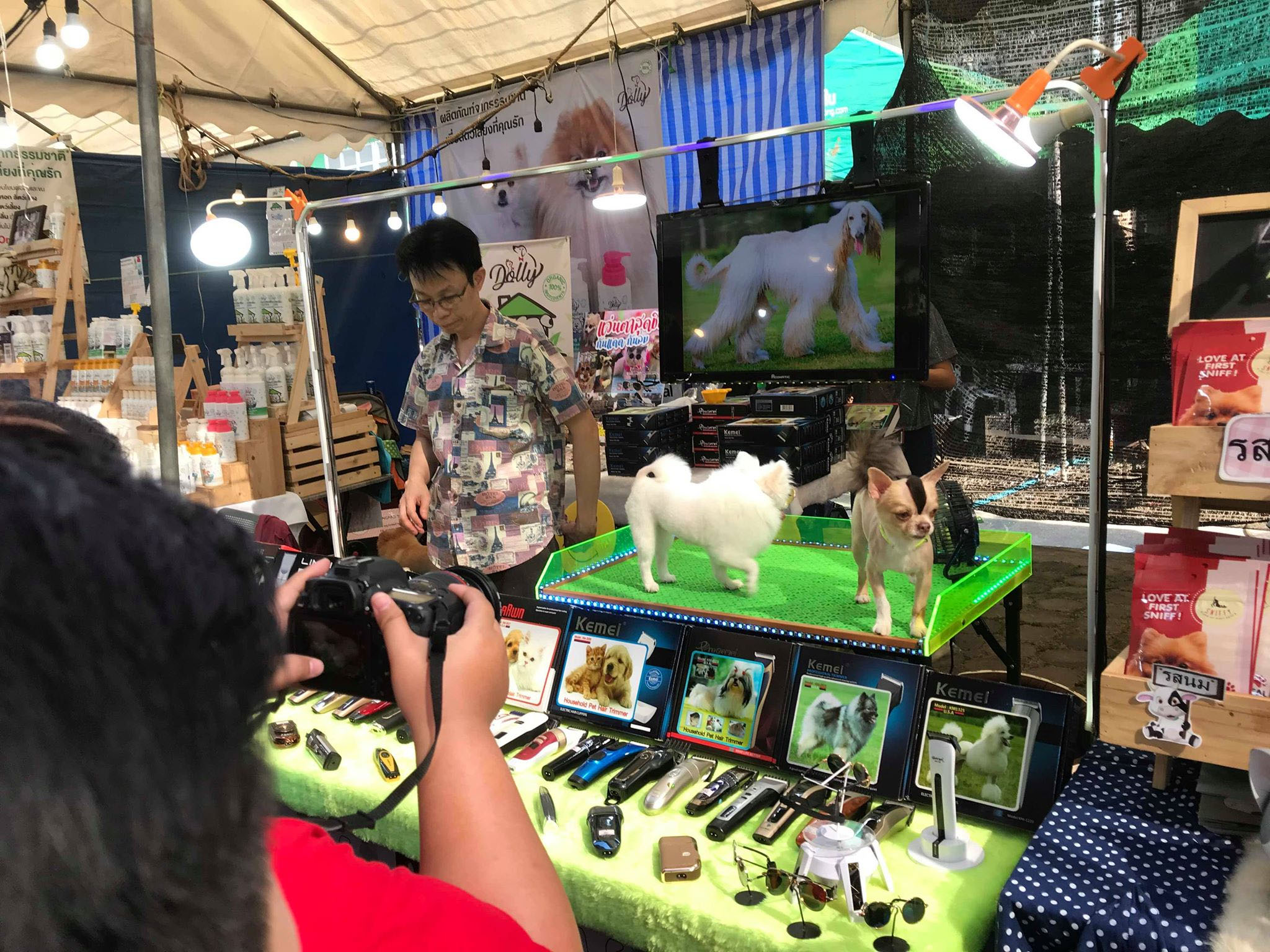 งานเกษตรแฟร์ ช็อปปิ้ง ต้นไม้ เสื้อผ้า อาหาร 27