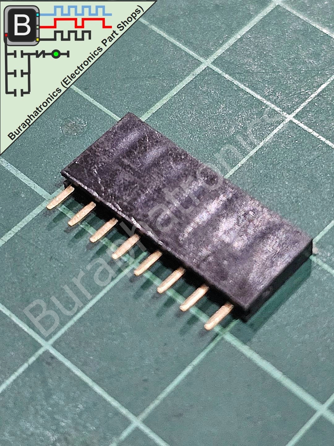 Female PinHeader 2.54mm (1x8P)