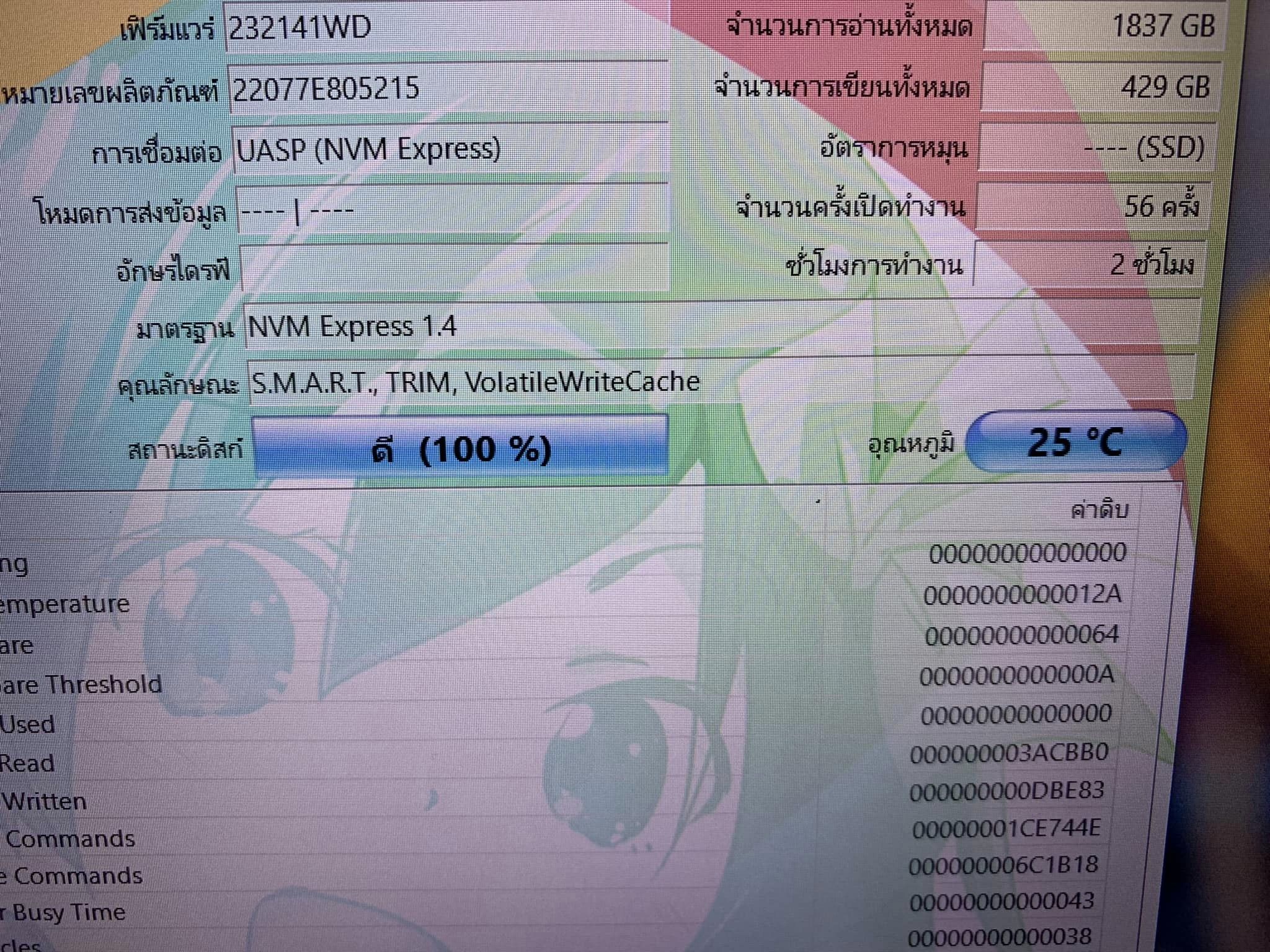 SanDisk SSD Extreme Portable 500GB ตัวแรง สภาพใหม่ๆ ใช้งานแค่ 2 ชั่วโมงกว่าๆ