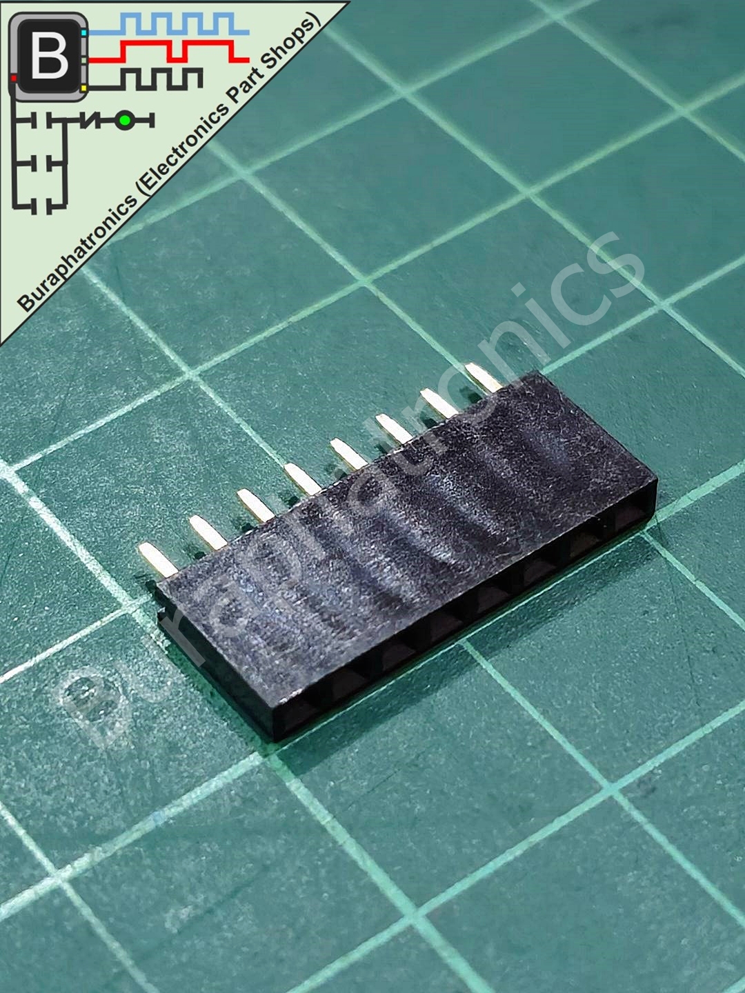 Female PinHeader 2.54mm (1x8P)