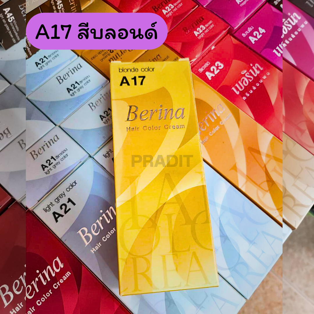 Berina Hair Color เบอร์ A17 สีบลอนด์ 121 กรัม