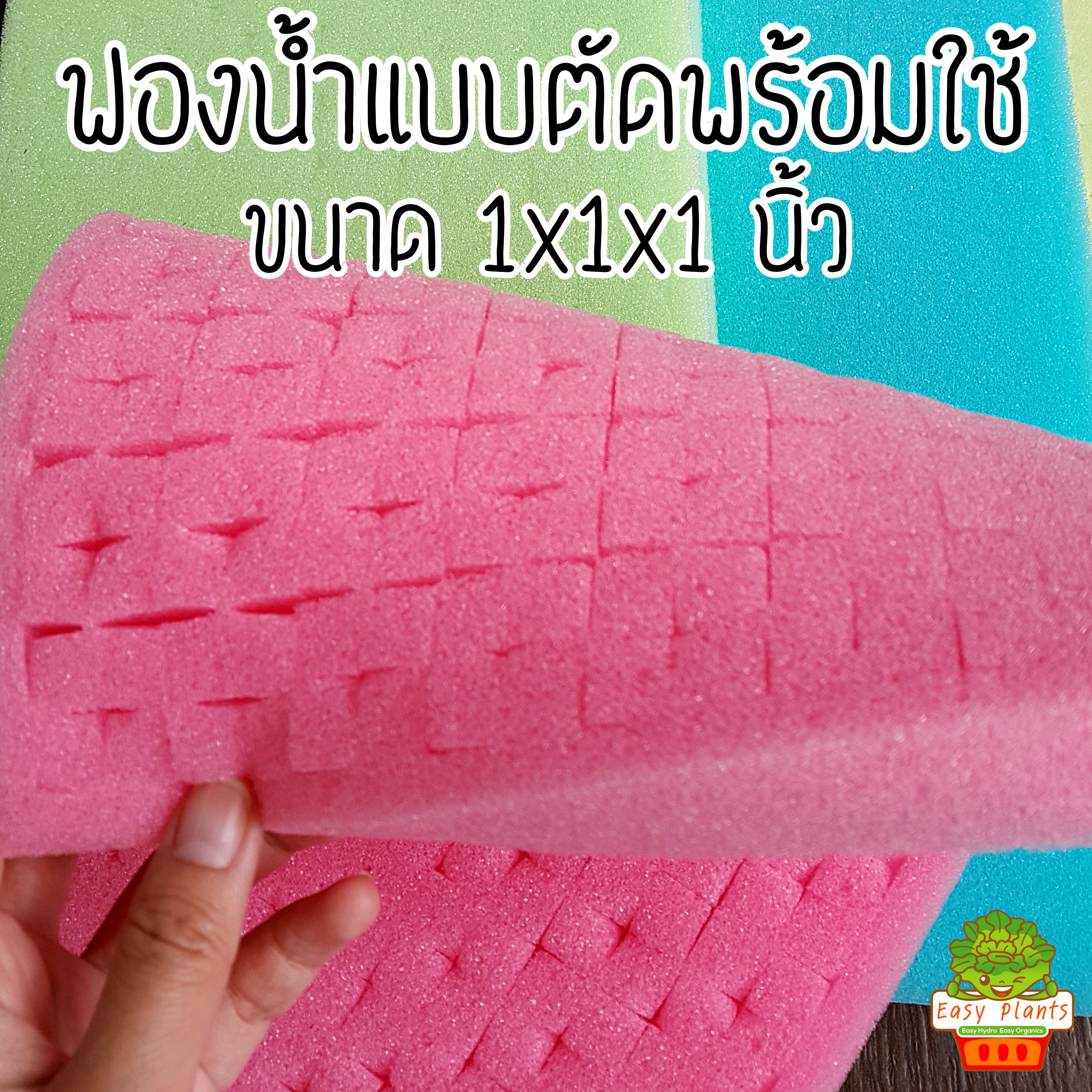ฟองน้ำปลูกผัก ไฮโดรโปนิกส์ แบบตัดแล้ว จำนวน 5 แผ่น เลือกสีได้ ฟ้า ชมพู เขียว เหลือง
