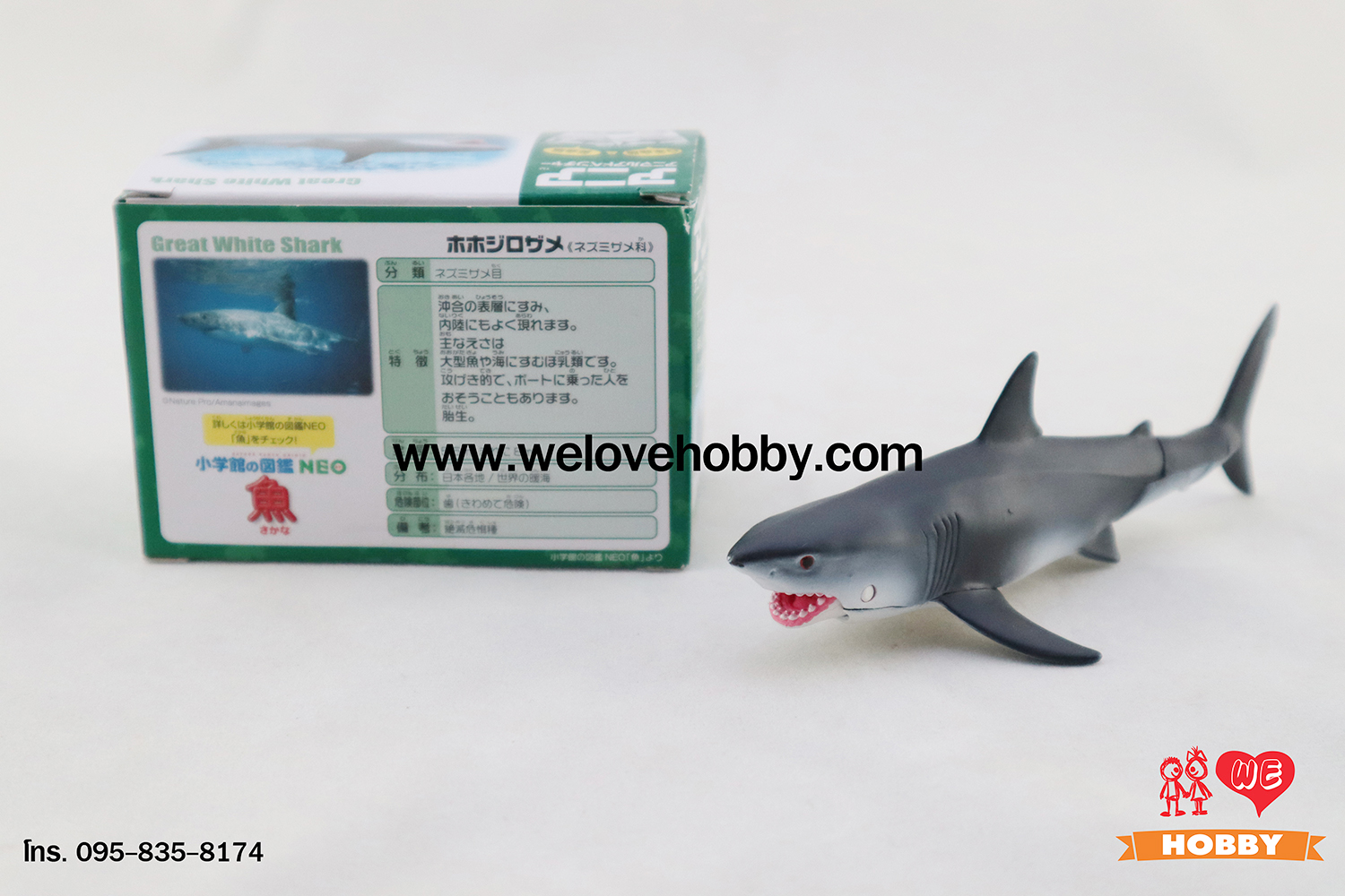 โมเดลปลาฉลามขาว (Great White Shark) แบรนด์ Takara Tomy ขนาดยาวประมาณ 7.5 ซม