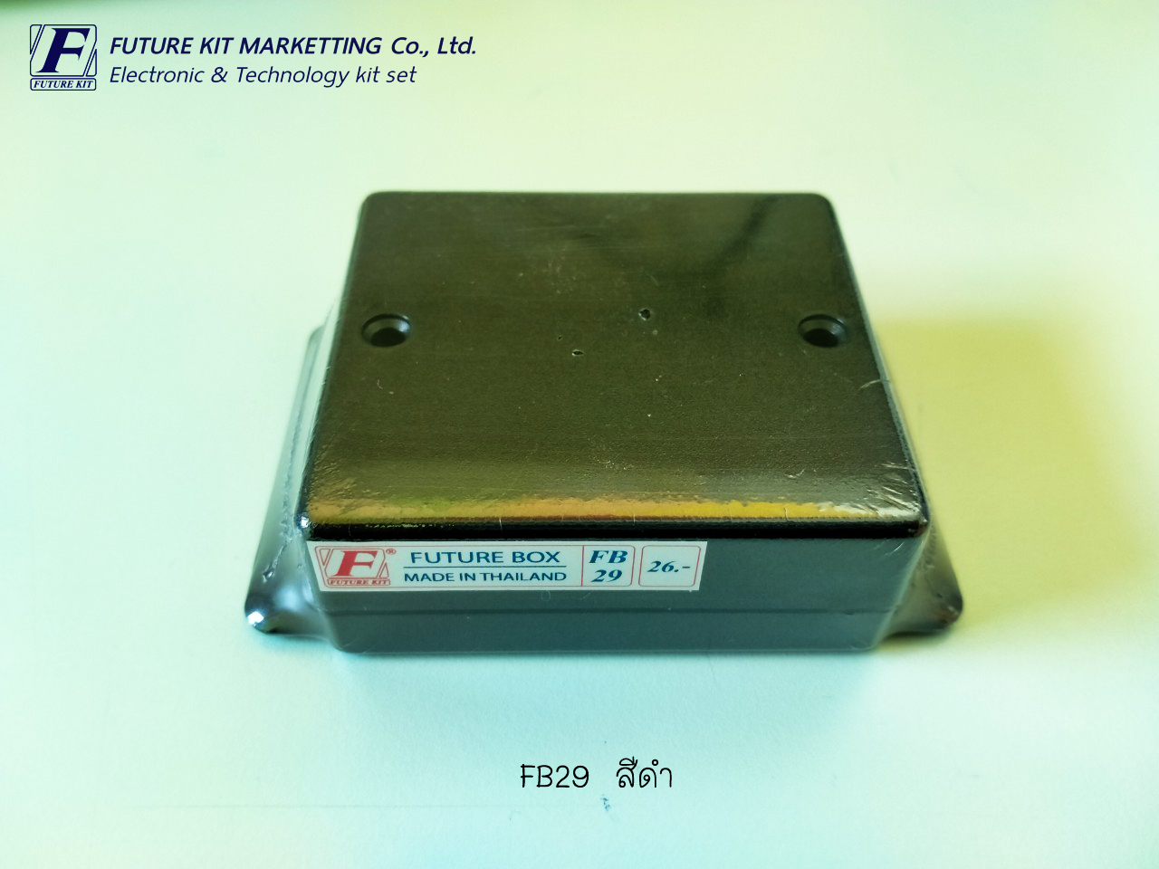 FutureBox FB29 กล่องอเนกประสงค์ มีปีกยึดน็อต 2 ข้าง