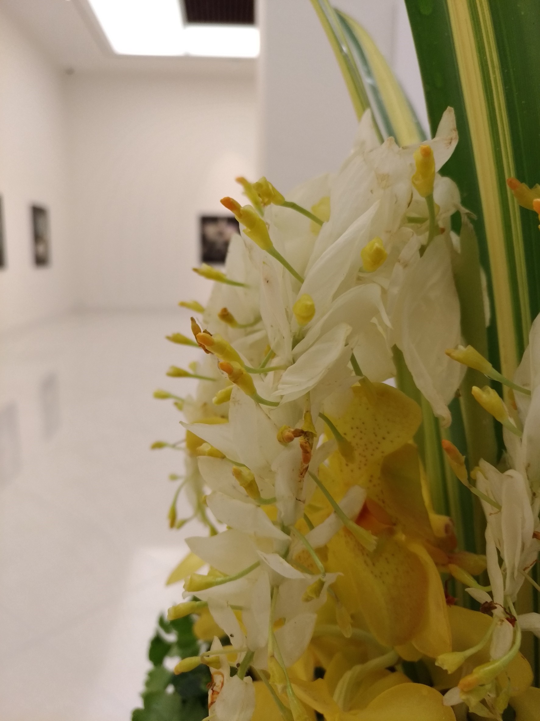 เสาตัดริบบิ้น RB 028- - จำนวน 1 คู่