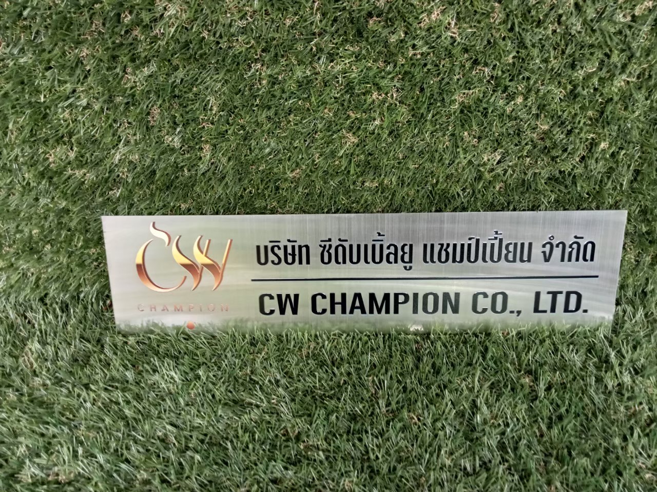 ป้ายสกีน
