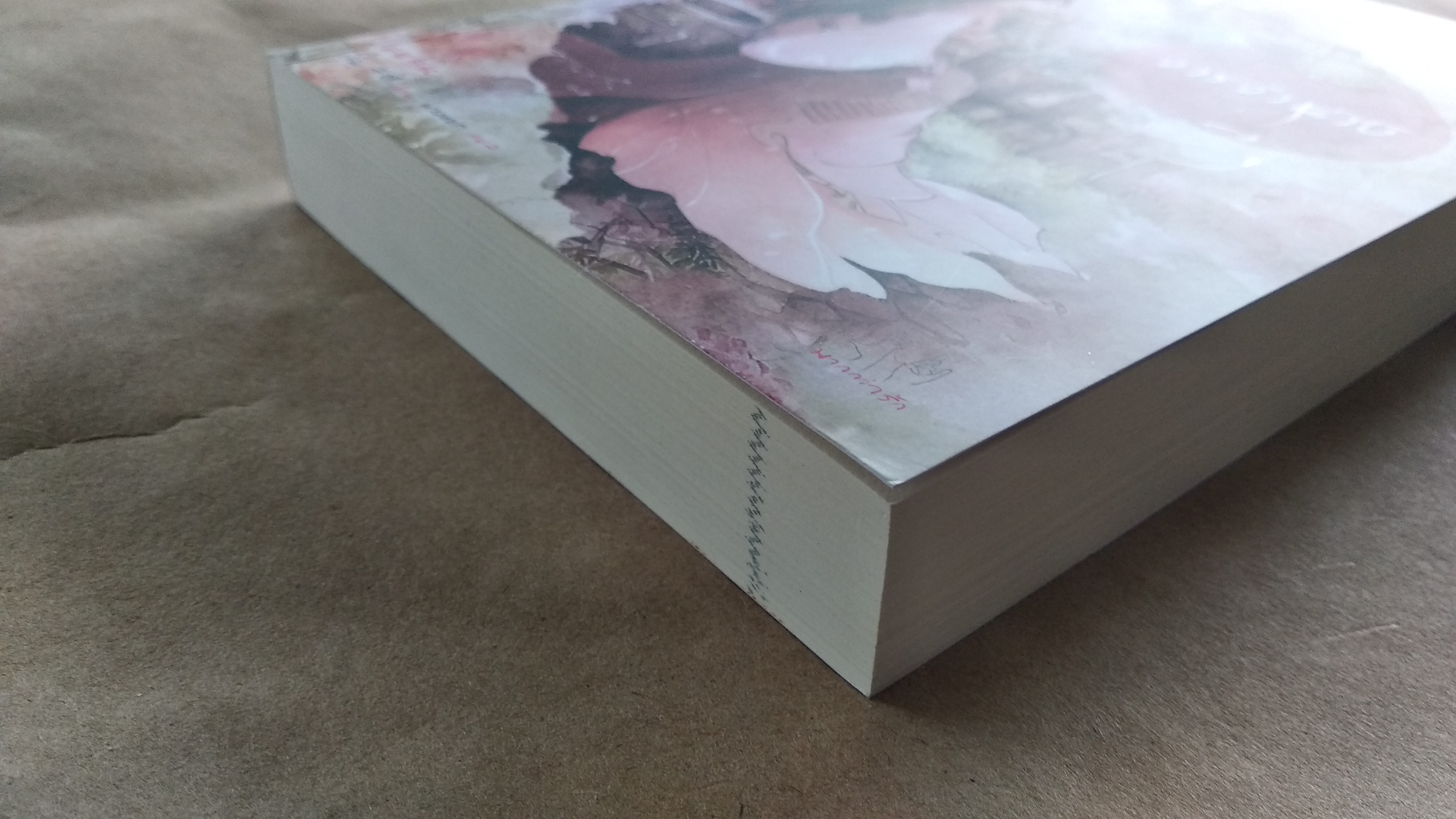 จารจำนาง โดย 于晴 อวี๋ฉิง นิยายแปลจีน แจ่มใส มากกว่ารัก มือสอง