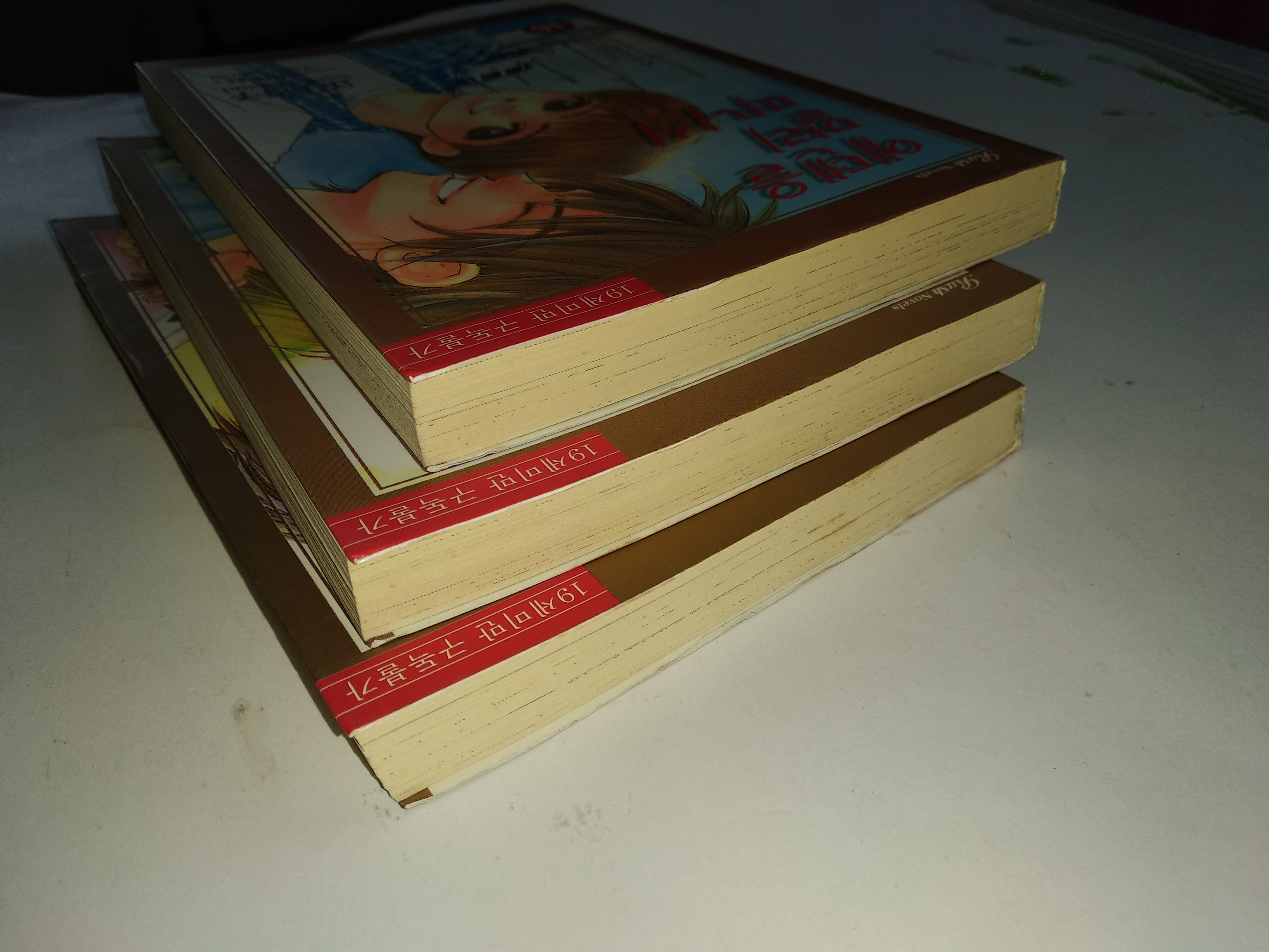 นิยายวายภาษาเกาหลี 에덴을 멀리 떠나서 - Saeko Egami 1-18 (มือสอง ขาดเล่ม 13)