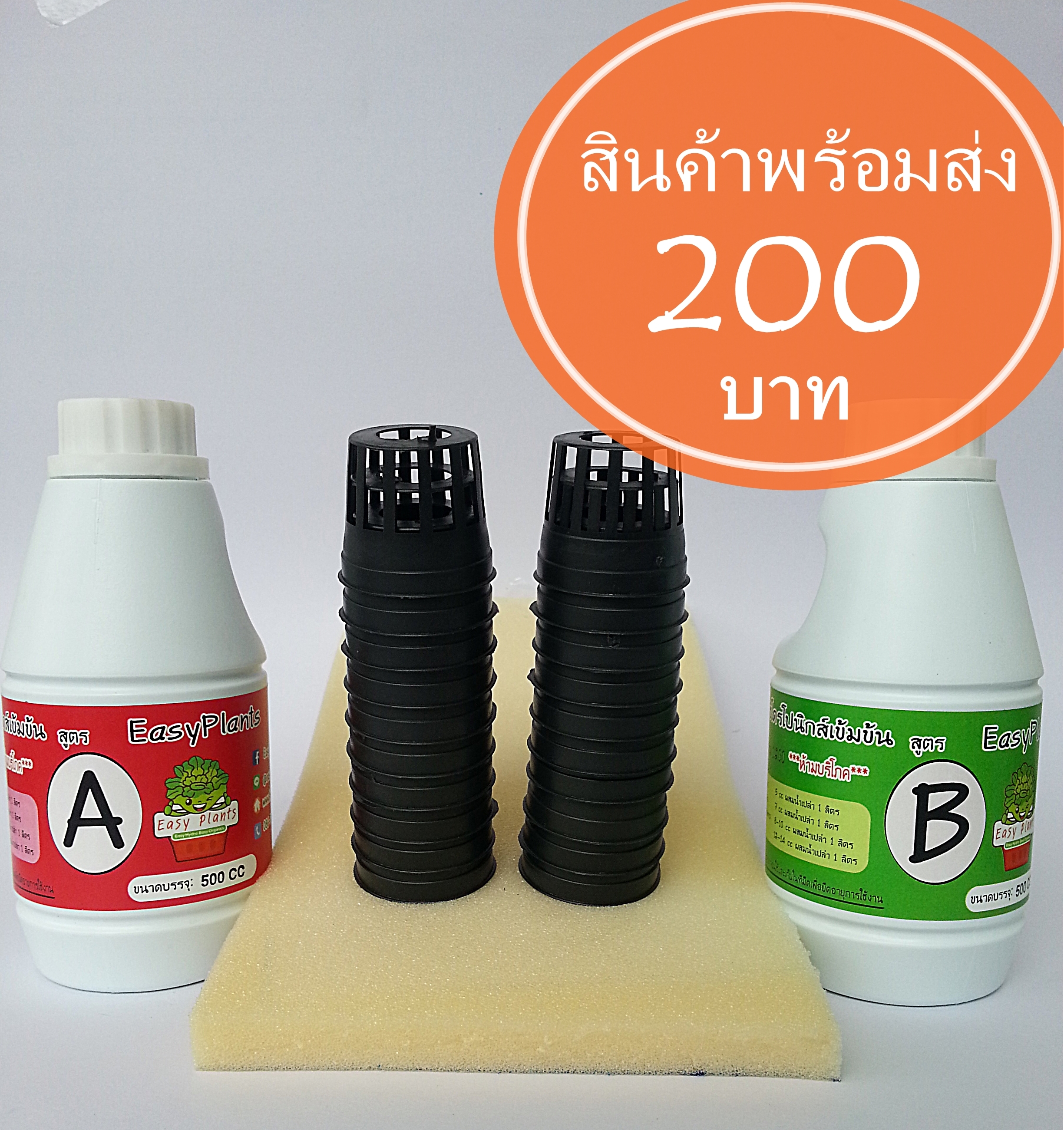 ชุดไฮโดรโปนิกส์คิท (เล็ก) Hydroponics Kit (Small size)
