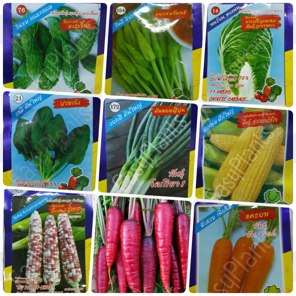 เมล็ดพันธุ์ บรรจุซอง ตรา 3A ผักสวนครัว ชุด #1 ผักกินผล กินดอก