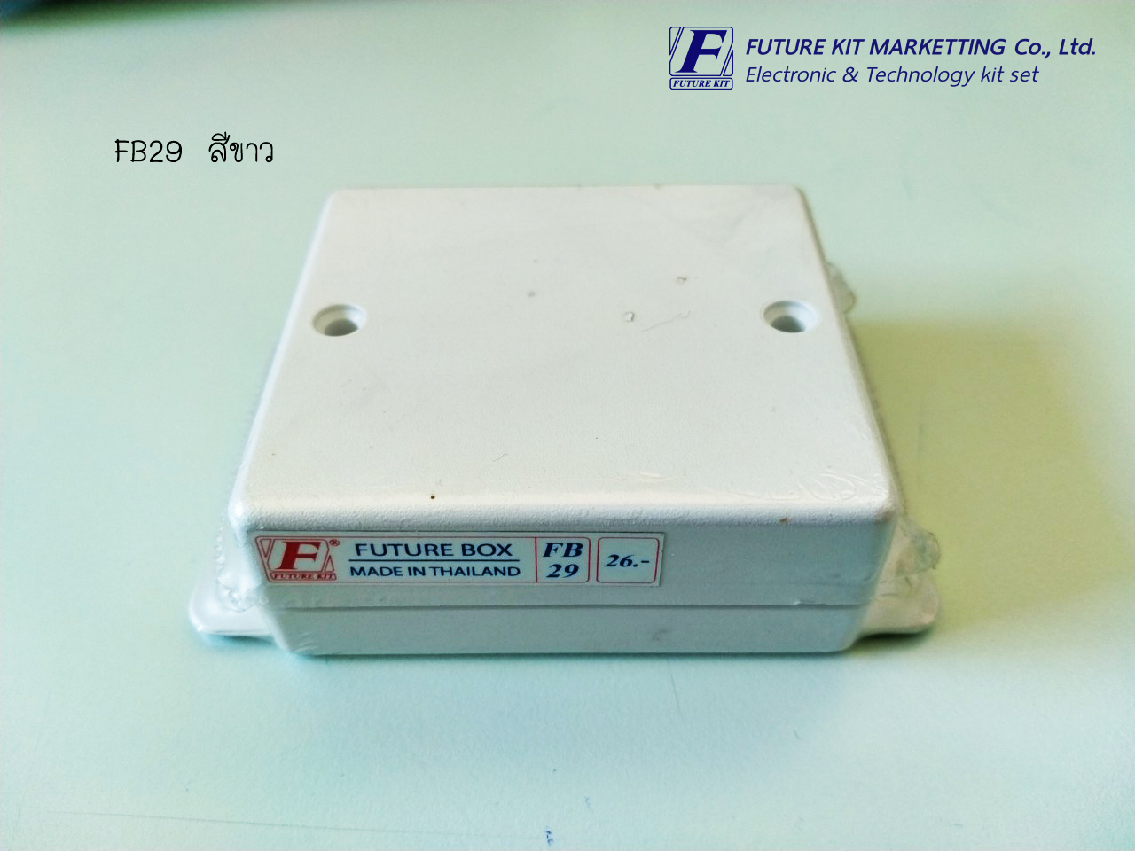 FutureBox FB29 กล่องอเนกประสงค์ มีปีกยึดน็อต 2 ข้าง