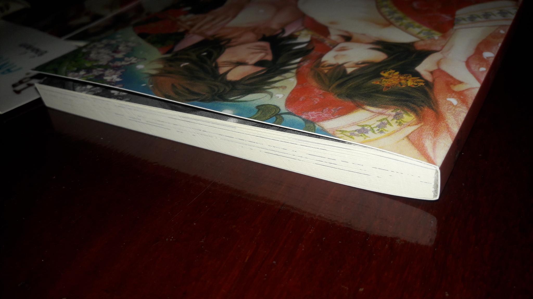 นิยายวายญี่ปุ่น The Demon of Shangri-La โดย Fuyuno Jinko