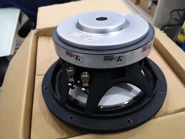 SEAS SW250 'Lotus' 10" 4Ohm. Car Subwoofer