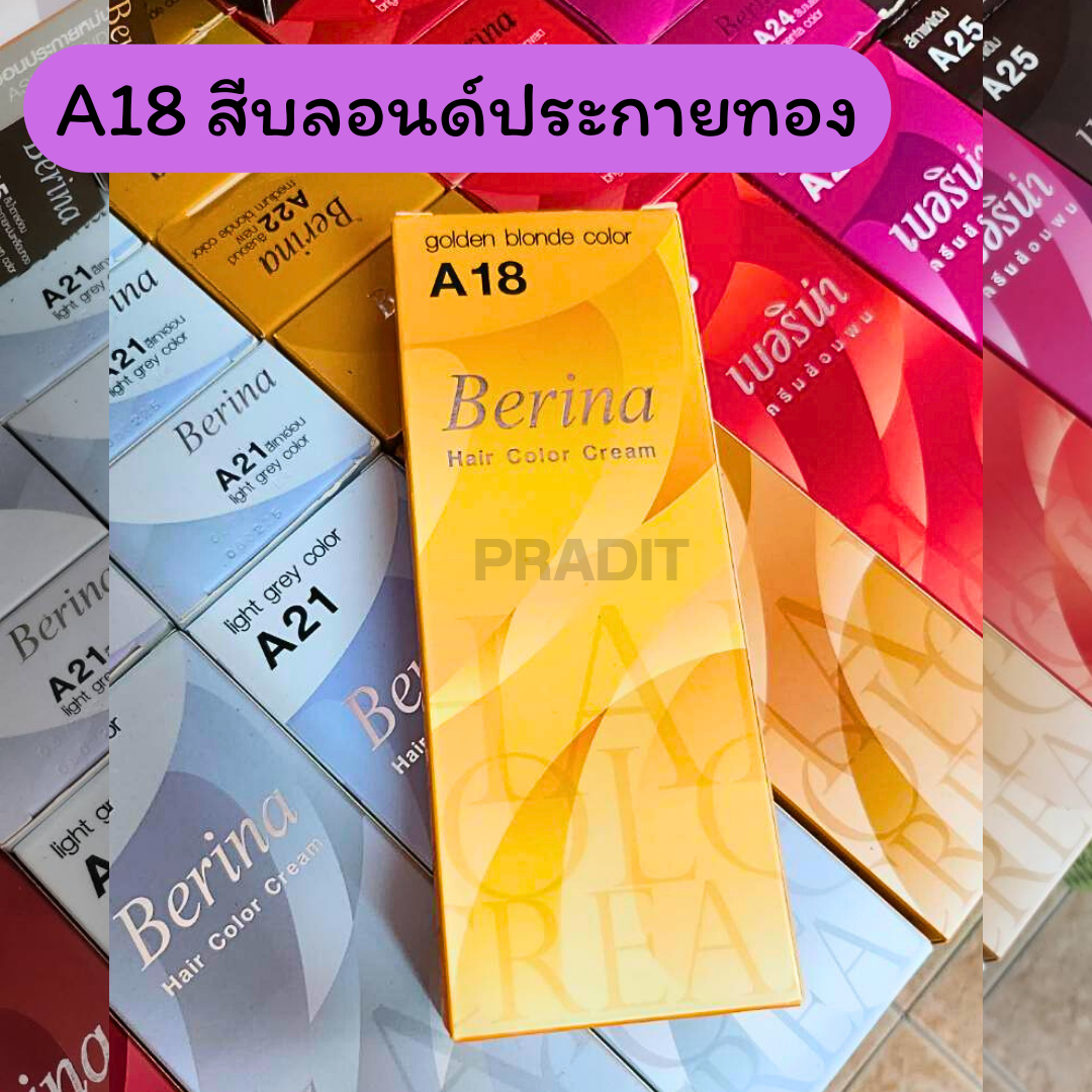 Berina Hair Color เบอร์ A18 สีบลอนด์ประกายทอง 121 กรัม